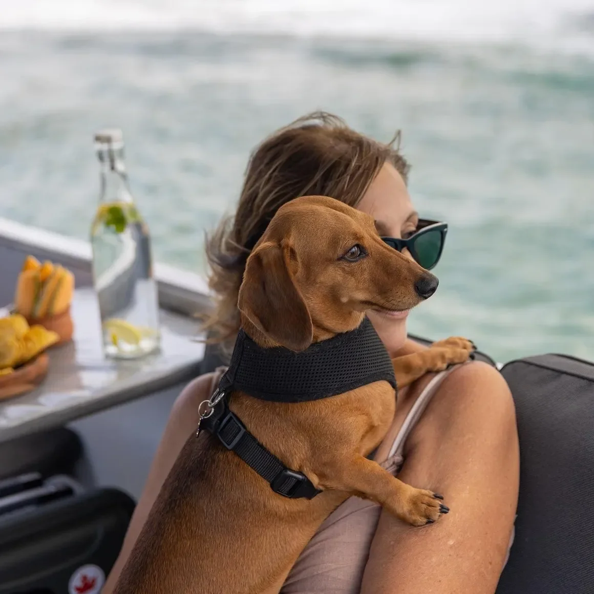 Luxury_Boat_Hire_Tweed_009.webp