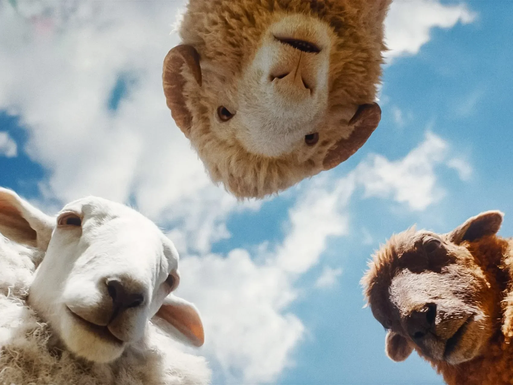 Dan’s Sheep Detective Review