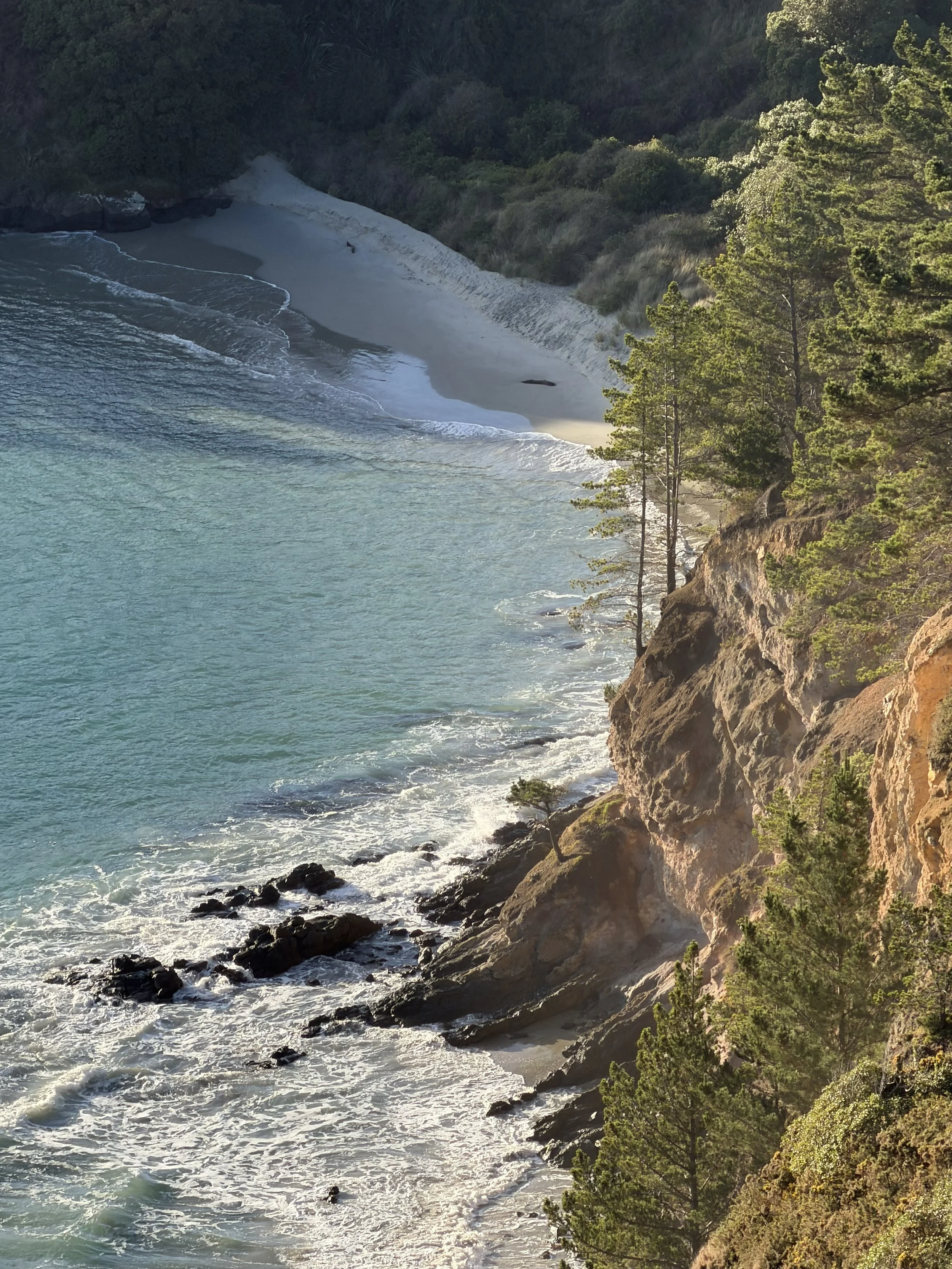 A rocky coastline with waves crashing against the shore, surrounded by green trees and vegetation, with a cliff on the right side.