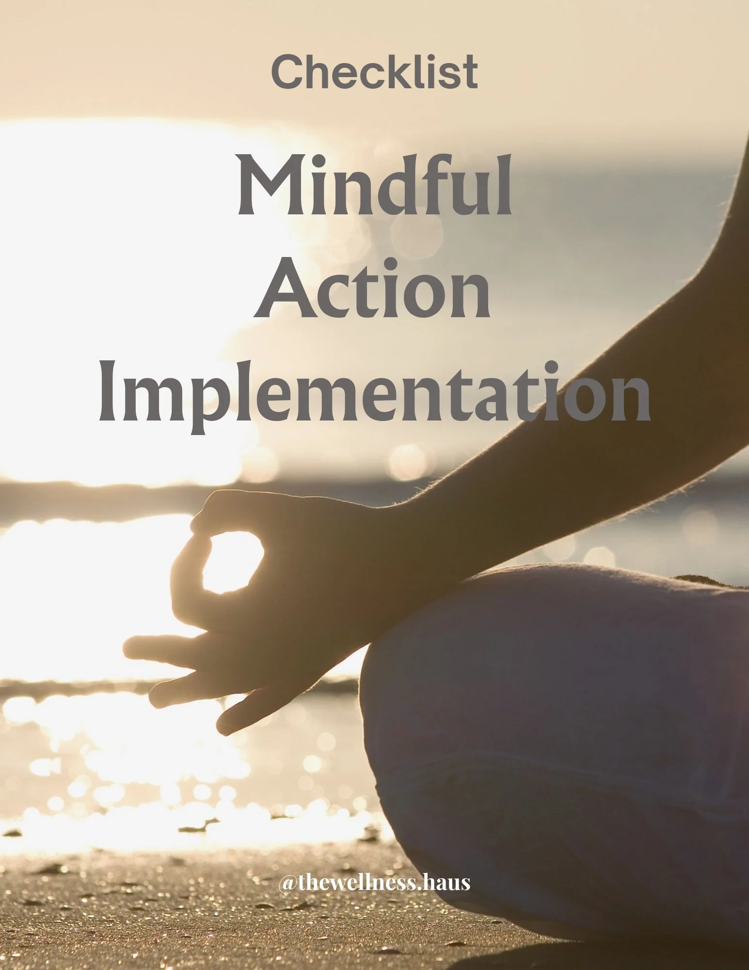 Mindful Action Implementation - Checklist.jpg
