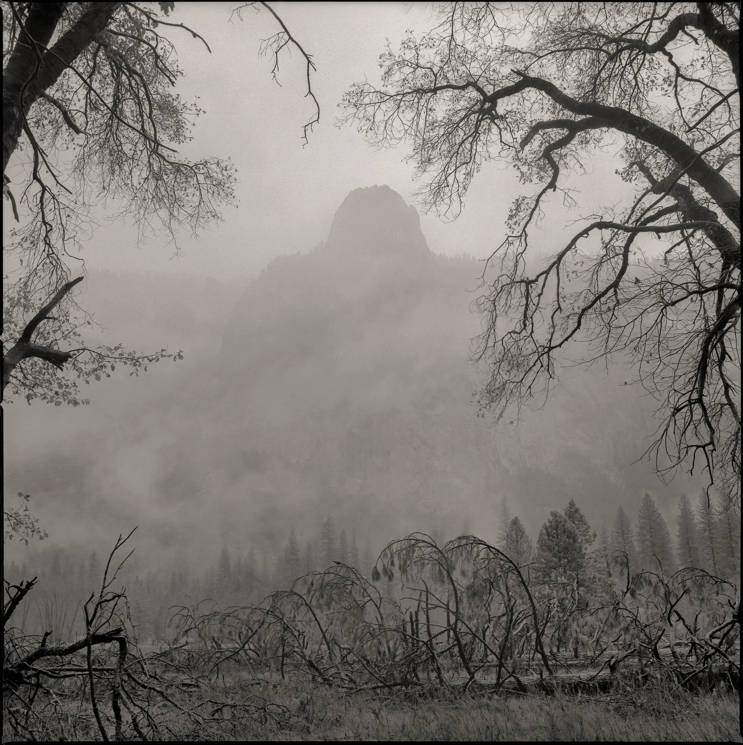 Sentinel Rock #2, Yosemite Valley, 2025.jpg