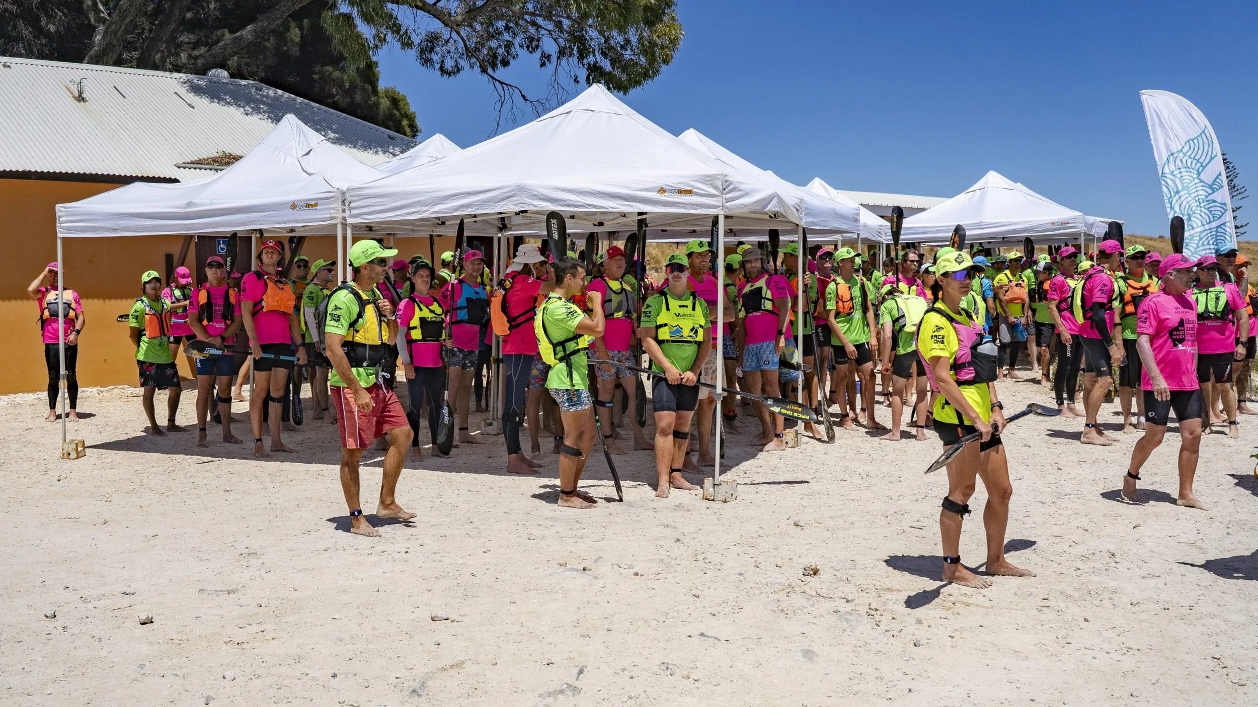 The Doctor – Rottnest Island 