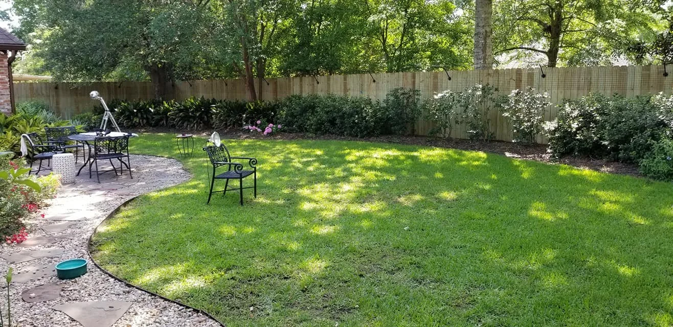 60350453_825413474503835_7052686378521329664_n.jpg