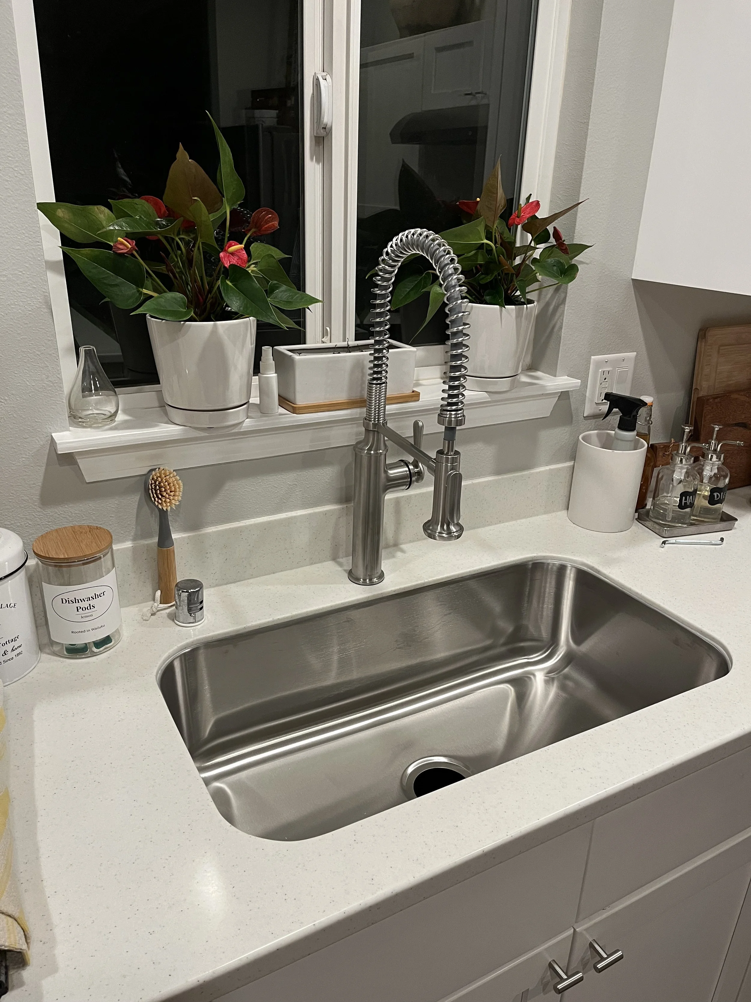 Sink & Faucet