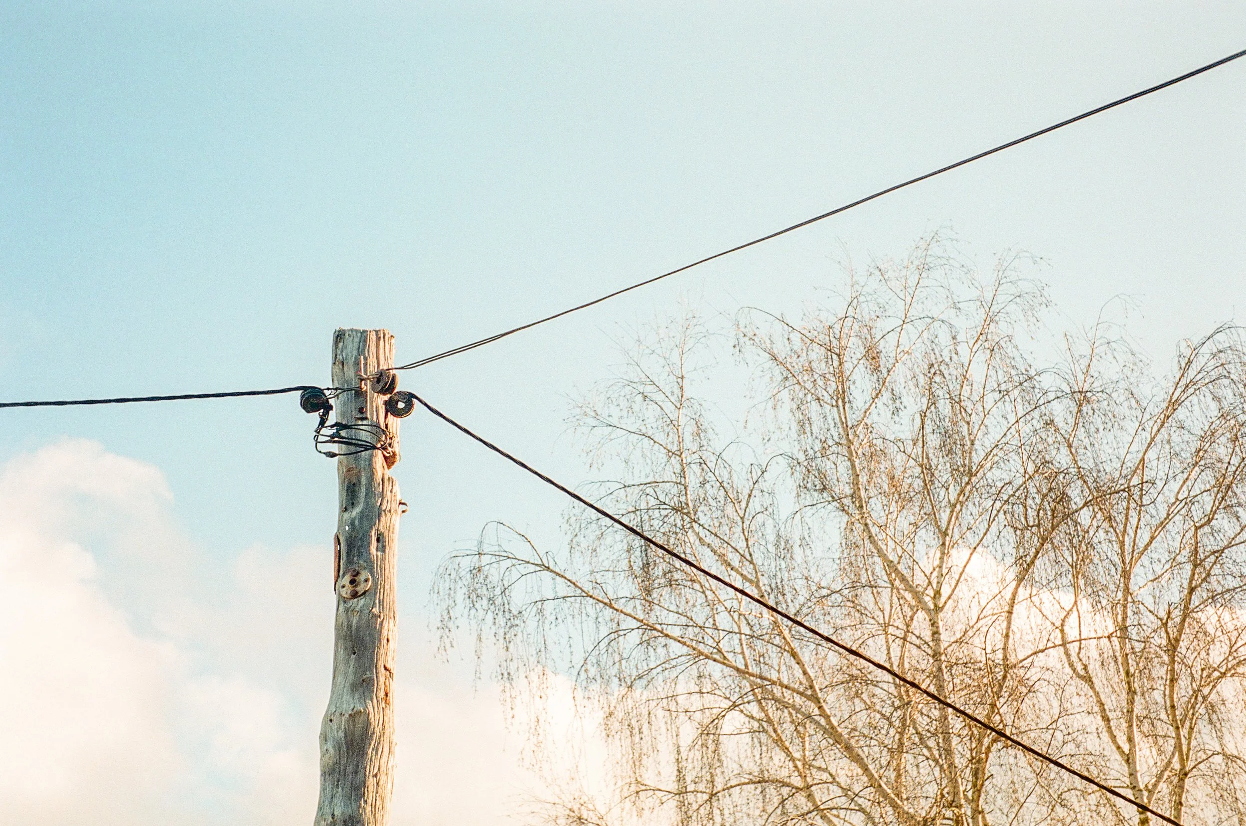 Outtakes from various projects, Porongurup