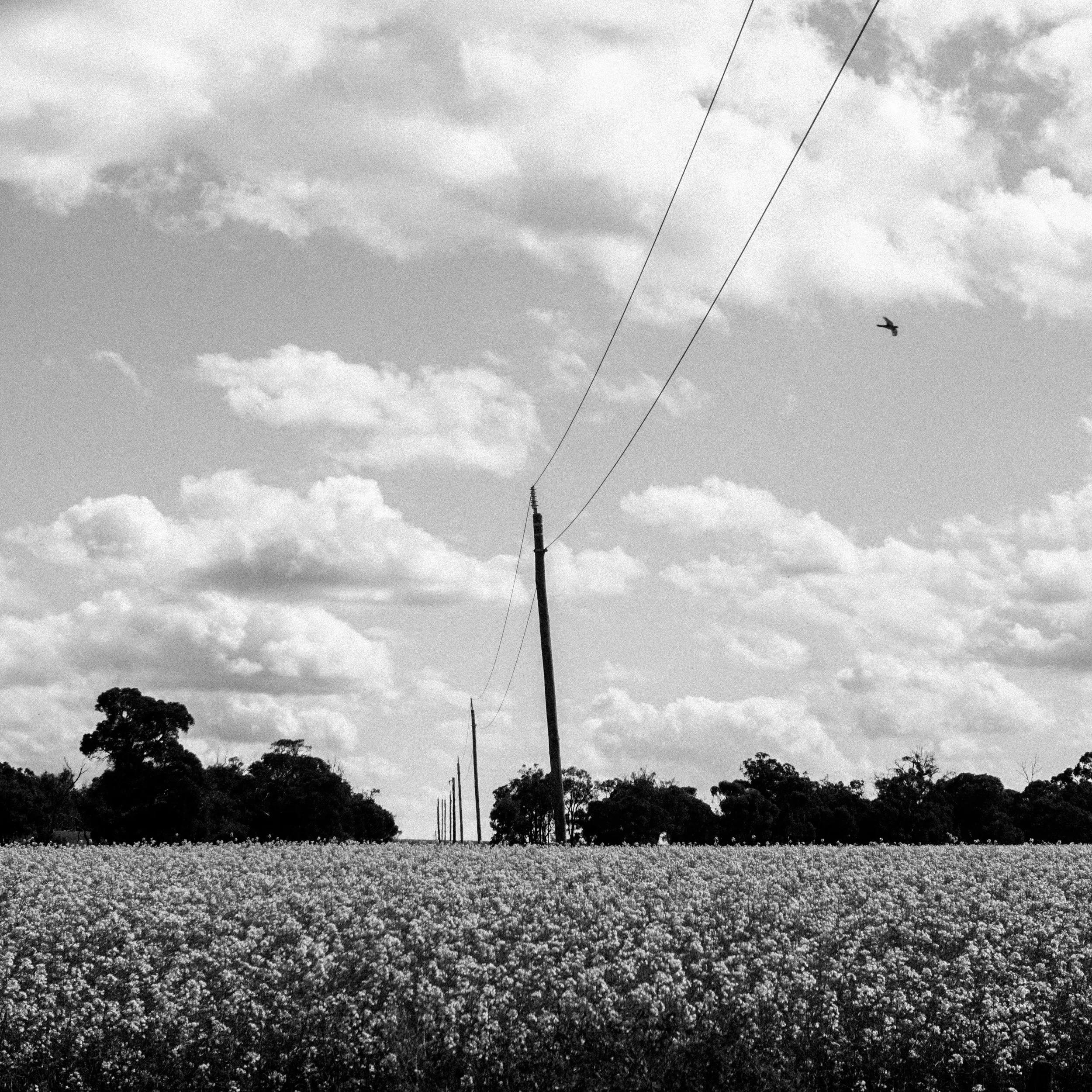 A square series