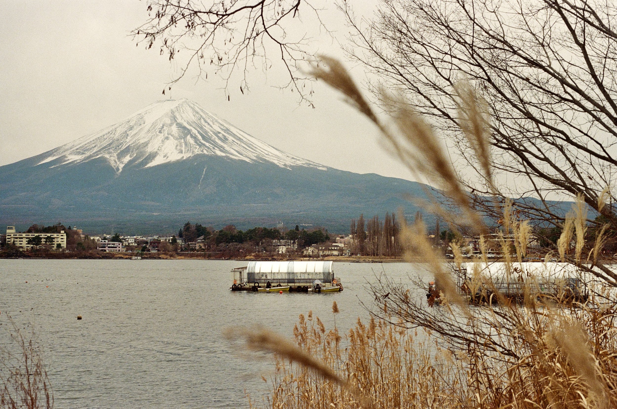 Selected works: Mount Fuji, 2024