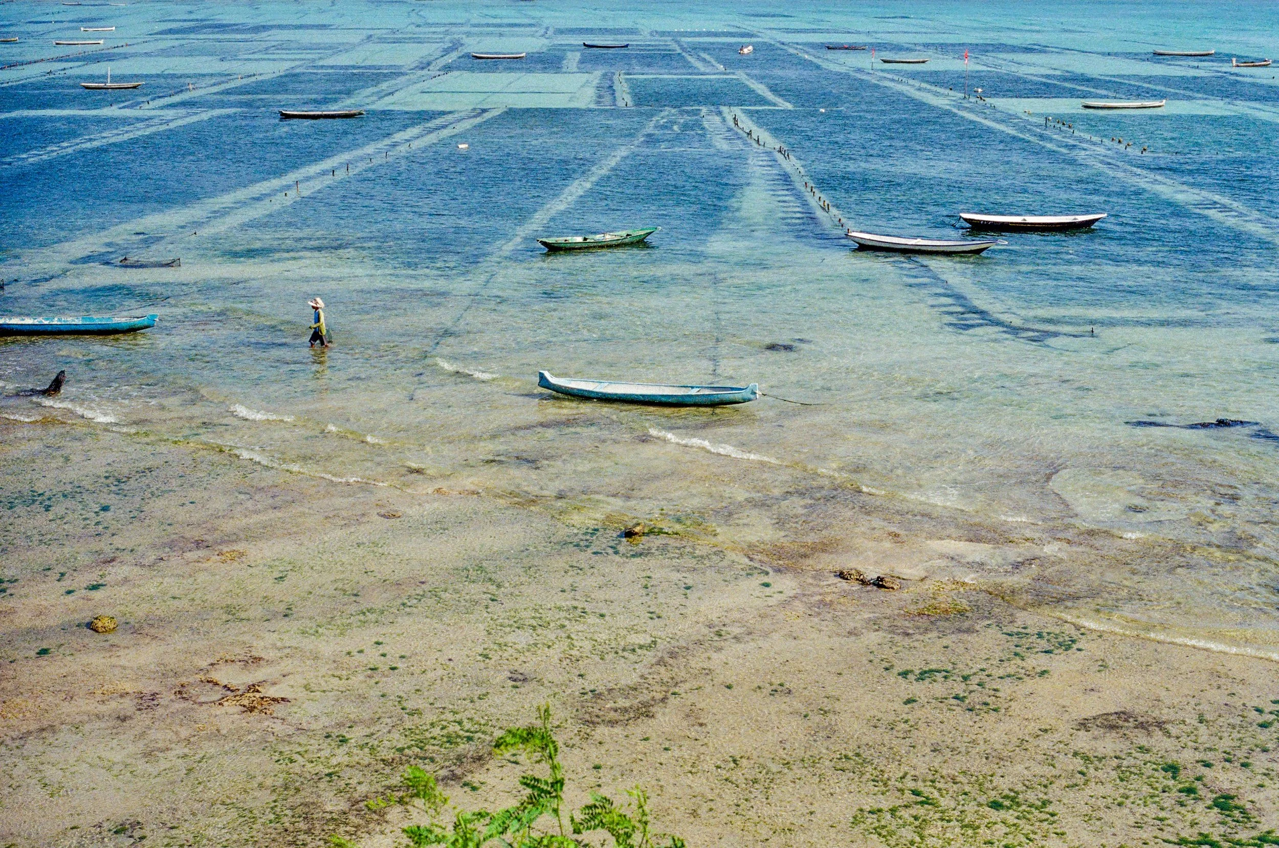 Selected works: Nusa Lembongan, 2024