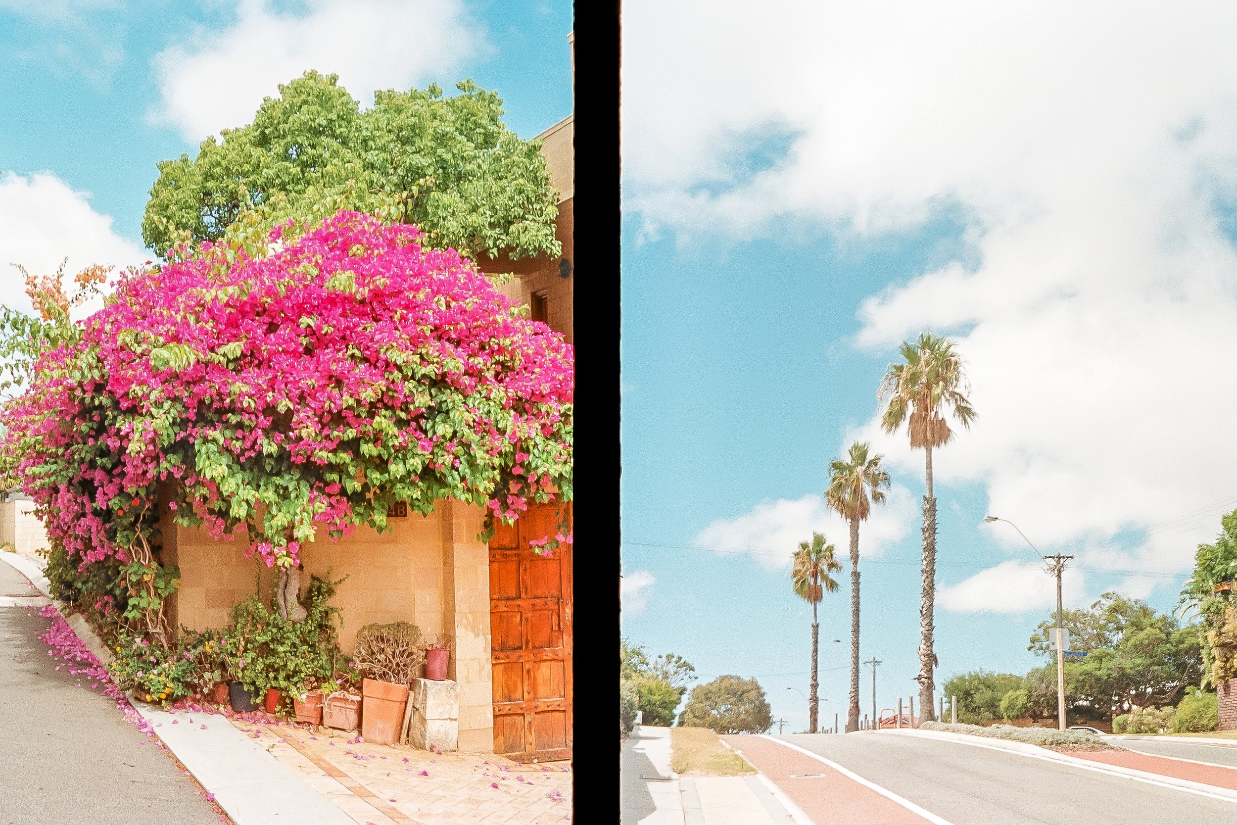 Half-frame