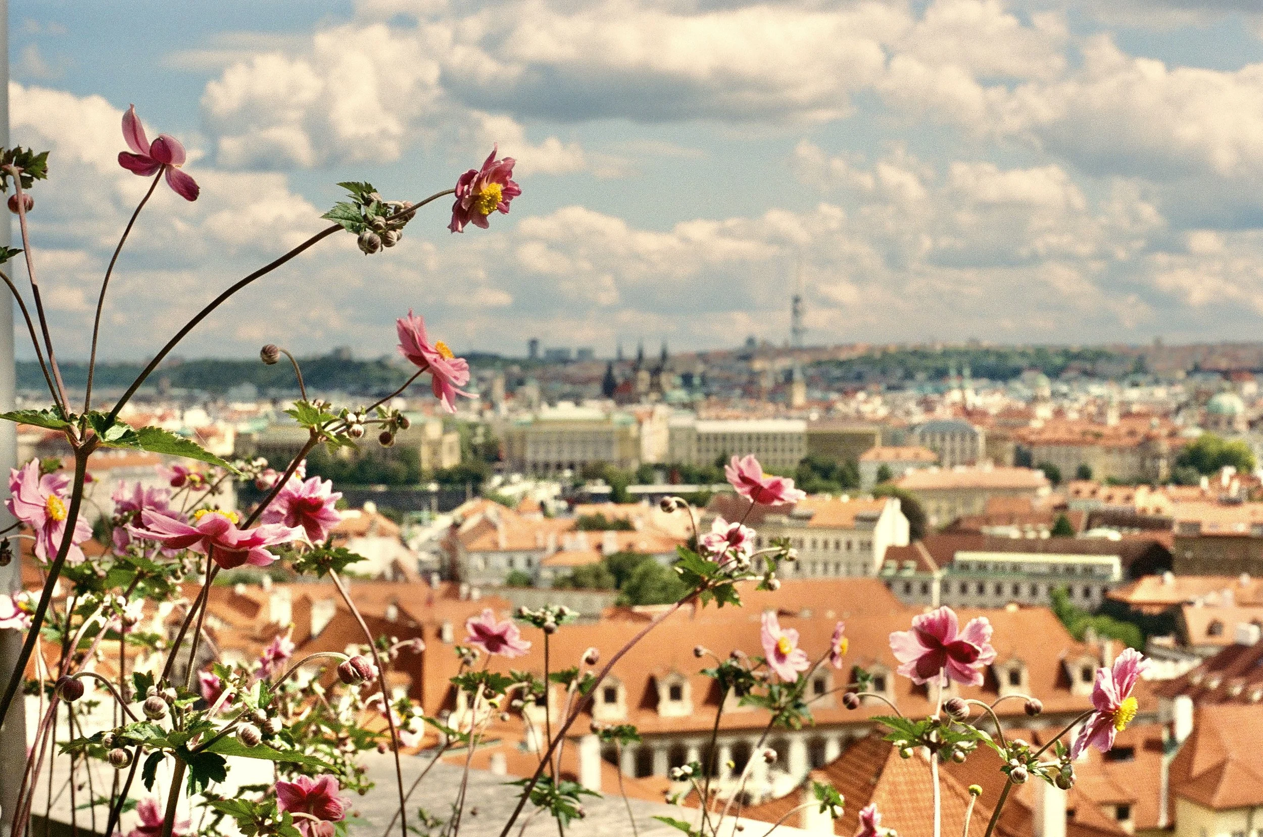 Outtakes from various projects, Prague