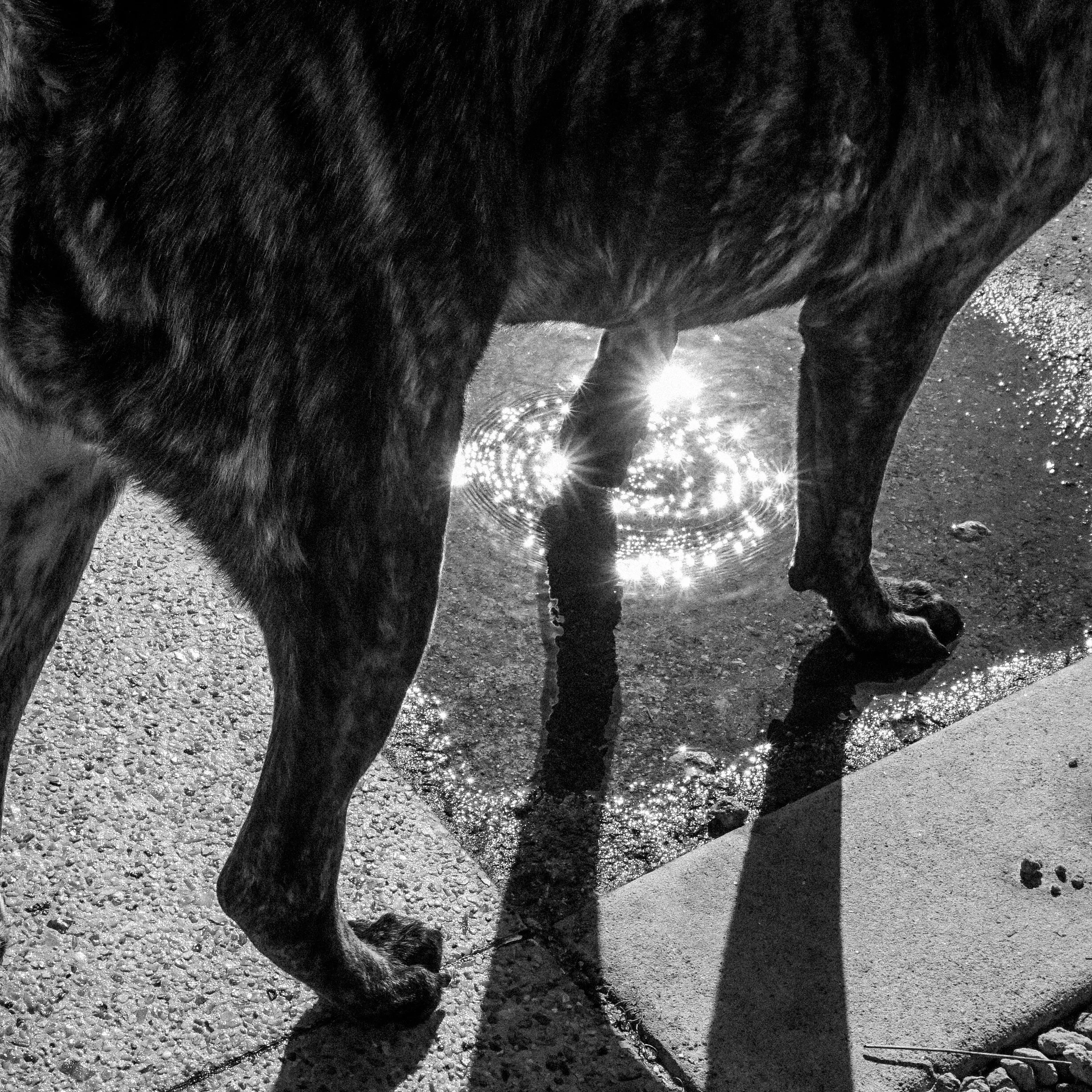 Walking on Sunshine