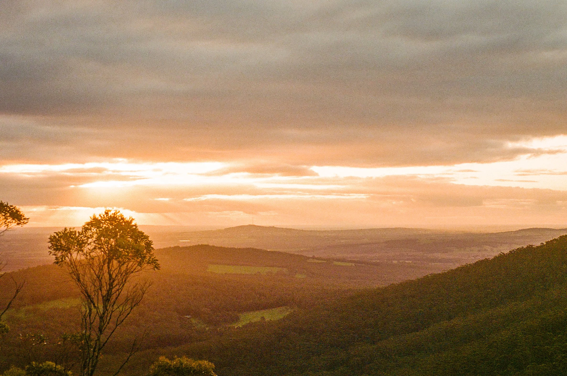 Selected works from WA: Porongurup