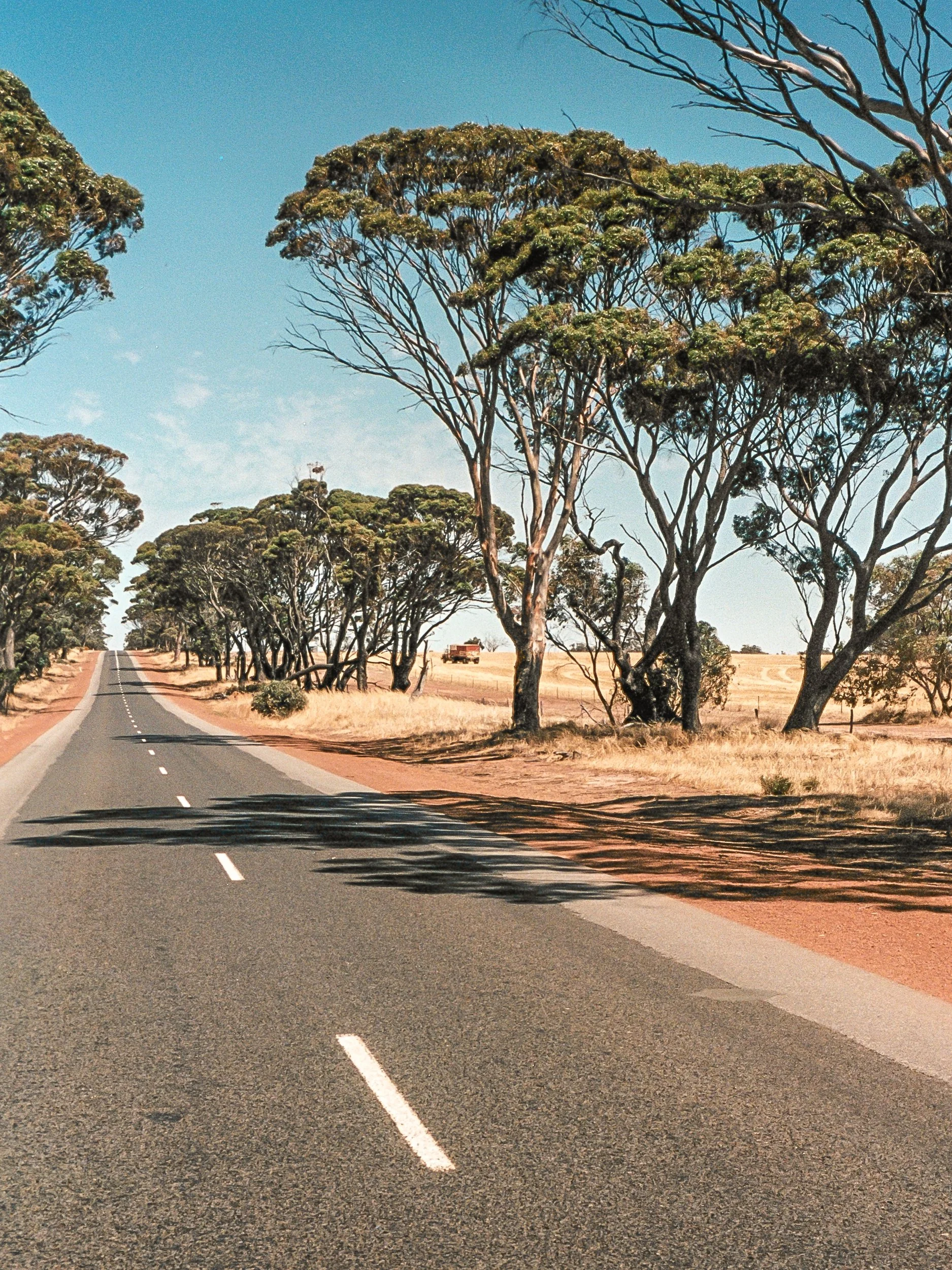 Outtakes from various projects, Wheatbelt