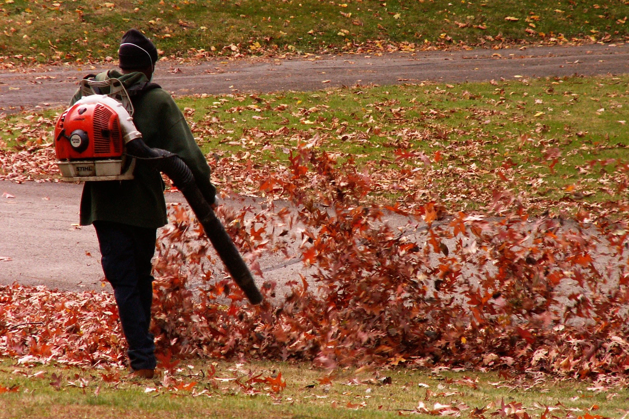 Fall and Spring Cleanups