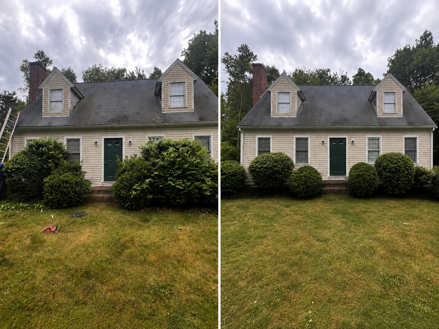 Hedge Trimming