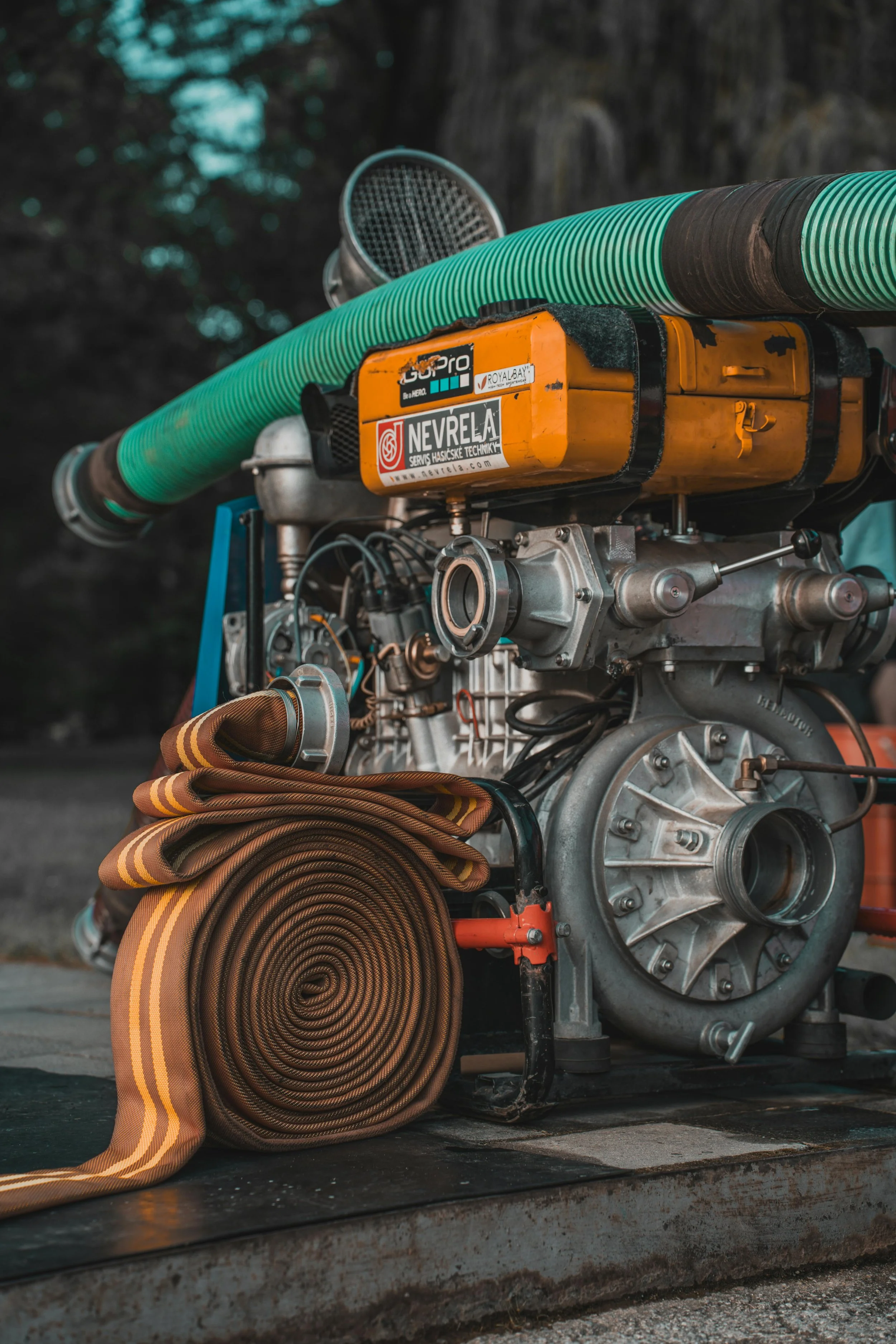 pexels-adam-sumnik-63698512-32489252.jpg