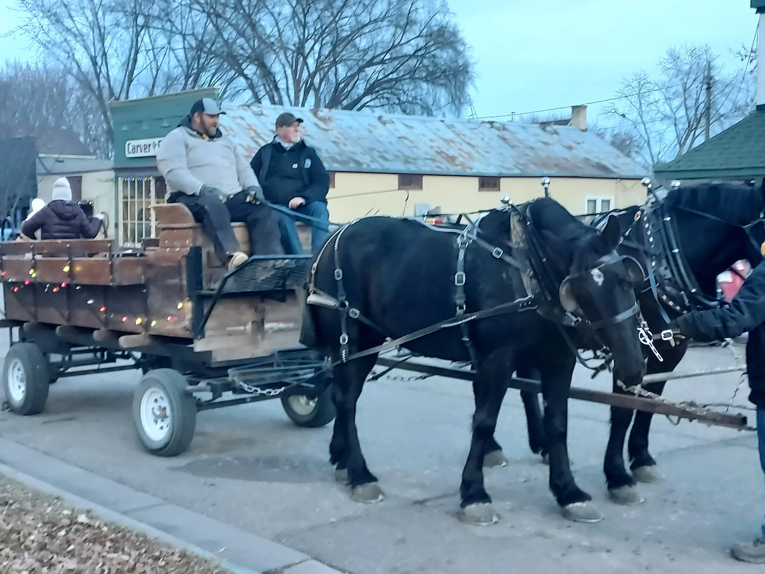 A horse-drawn wagon with two seated men, one wearing a gray jacket and a baseball cap, the other in a dark jacket, is being led by someone holding the horse's reins in an outdoor setting with houses and leafless trees in the background.