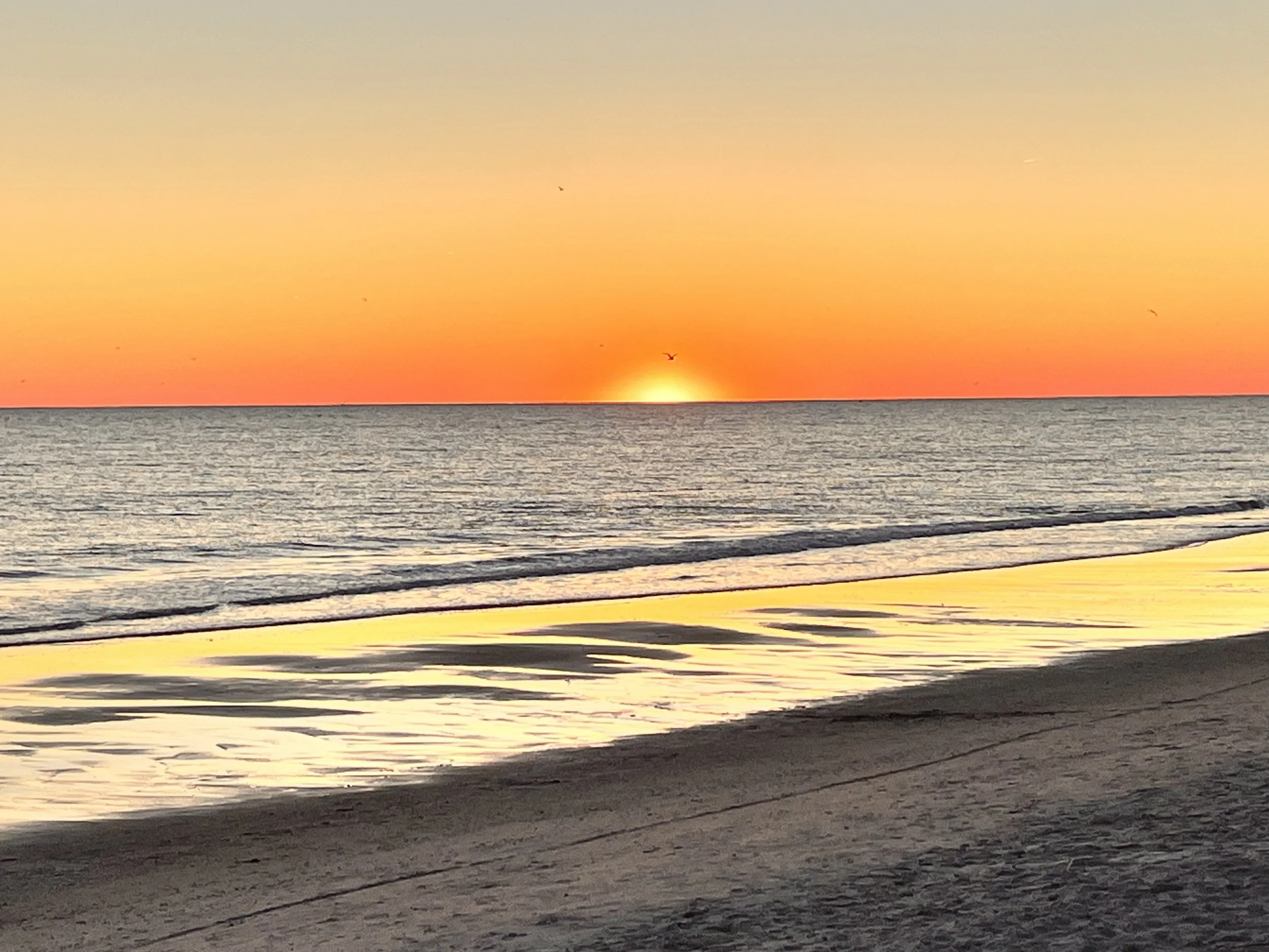 Sunset over the ocean with a few birds flying in the sky and the beach in the foreground.