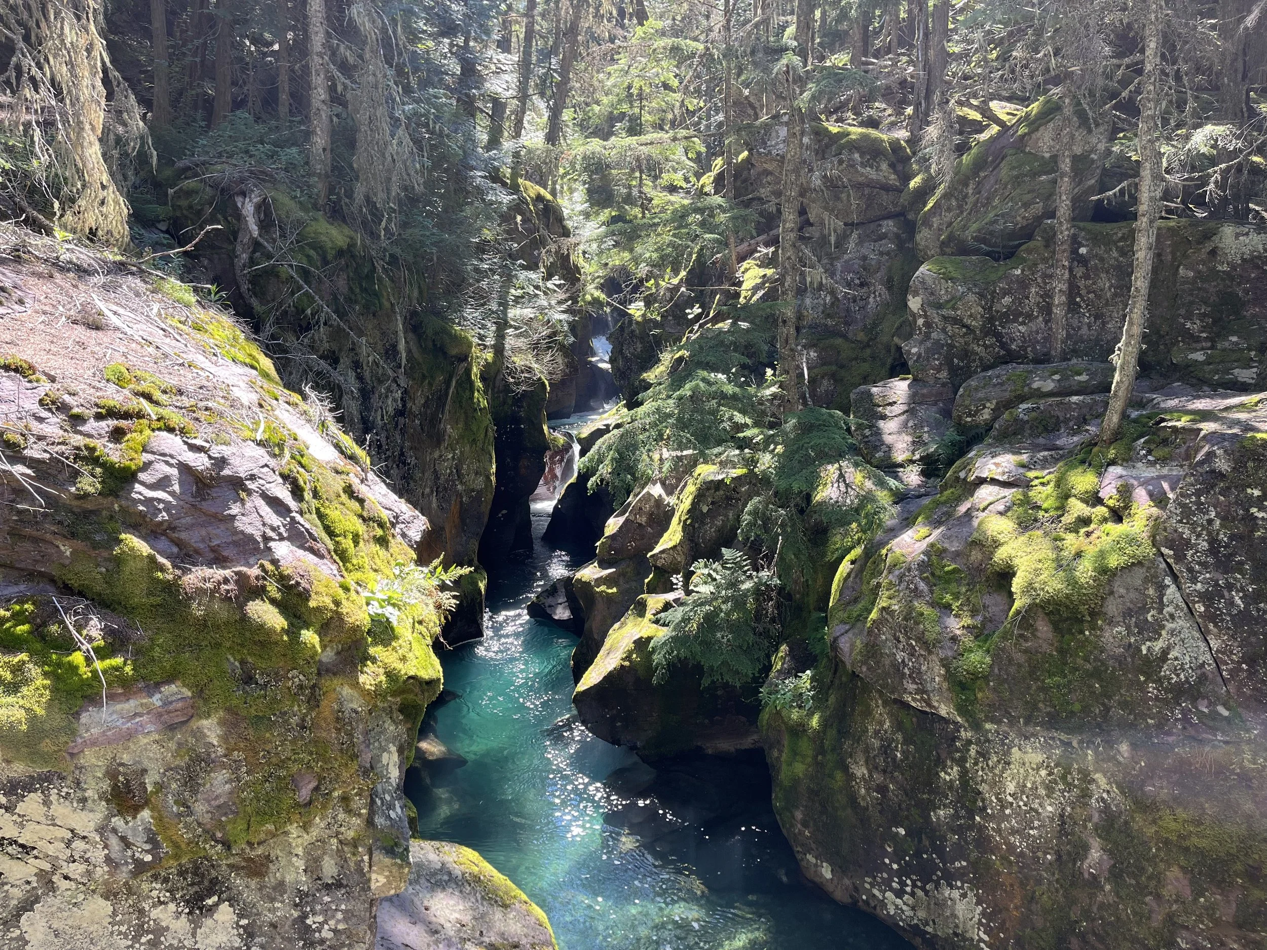 A dense forest canyon with moss-covered rocks, small waterfalls, and turquoise water flowing through a narrow gorge surrounded by tall trees.