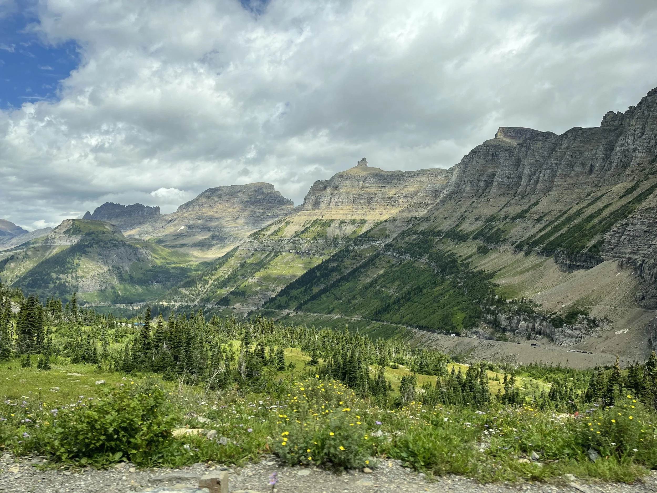 Mountain range with steep cliffs and green slopes, under a partly cloudy sky, with a foreground of lush green grass and small yellow flowers.