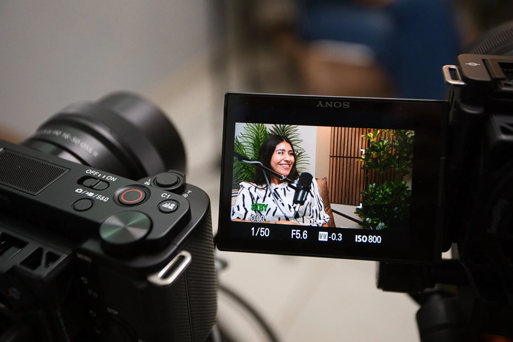 Persona grabando un video en un estudio con plantas decorativas y fondo de madera, vista en la pantalla de la cámara.