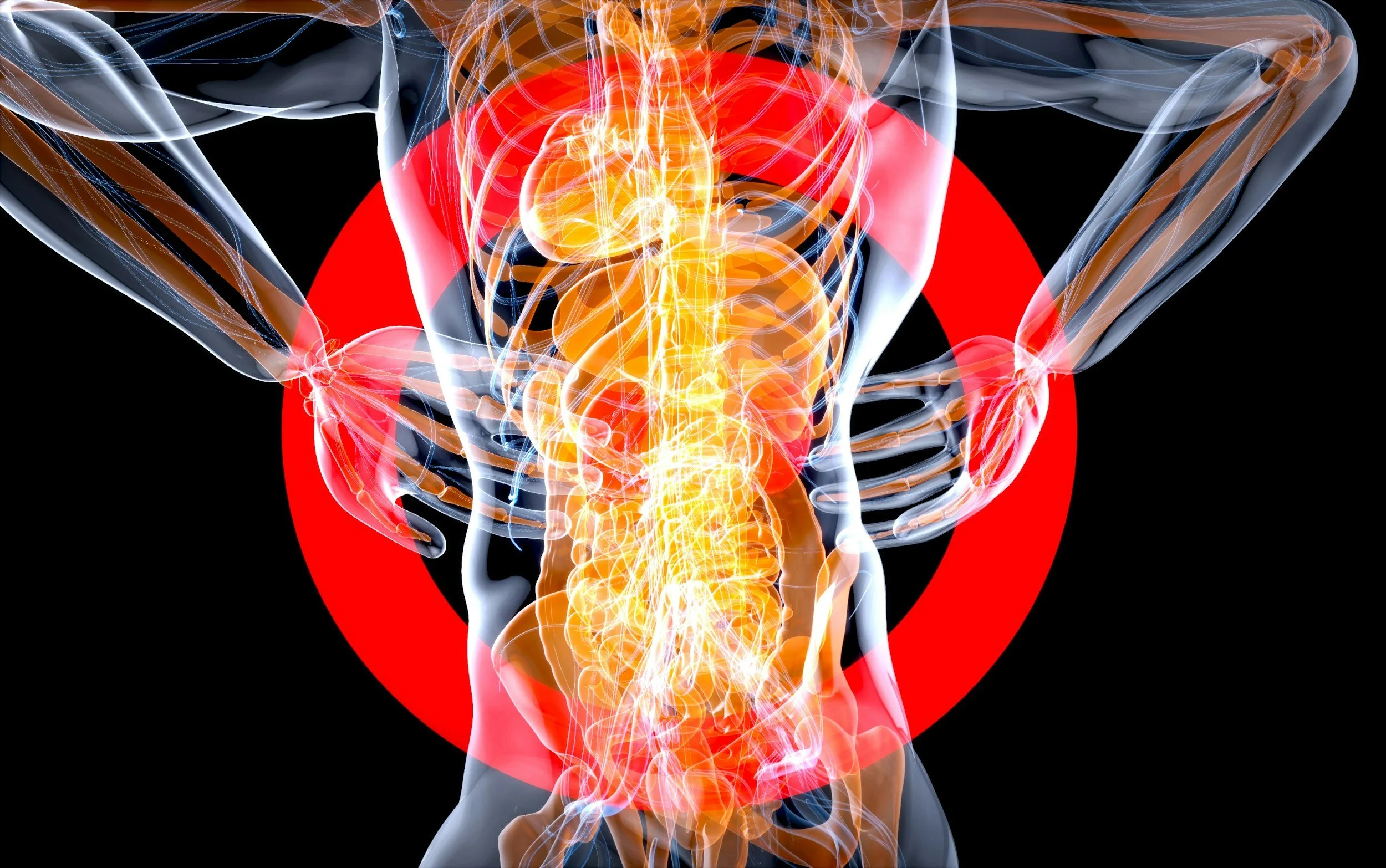 A digital illustration of the human body highlighting the central nervous system, with the heart and digestive organs visible, set against a black background with a red circle.