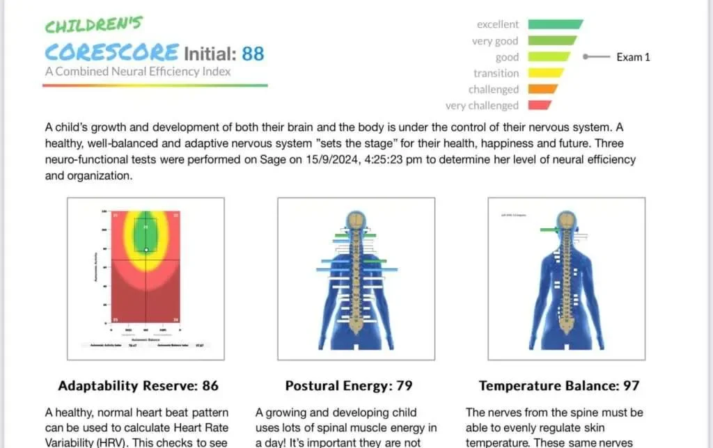 A neuro-functional assessment report for a child showing three scores: Adaptability Reserve 86, Postural Energy 79, Temperature Balance 97. The report includes a neural efficiency index of 88, with a color-coded chart indicating excellent to very good performance. Descriptions explain the significance of each score in relation to the child's nervous system and overall health.
