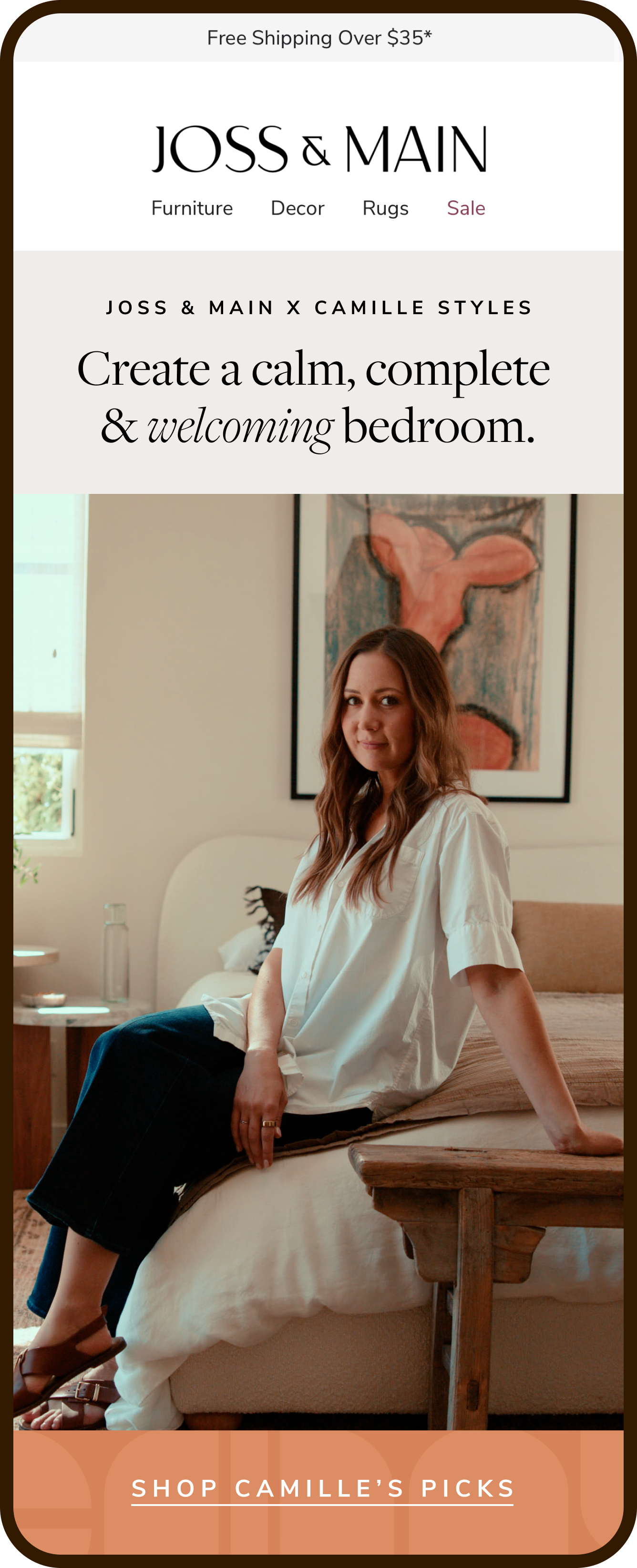 Camille Styles Email 3.png