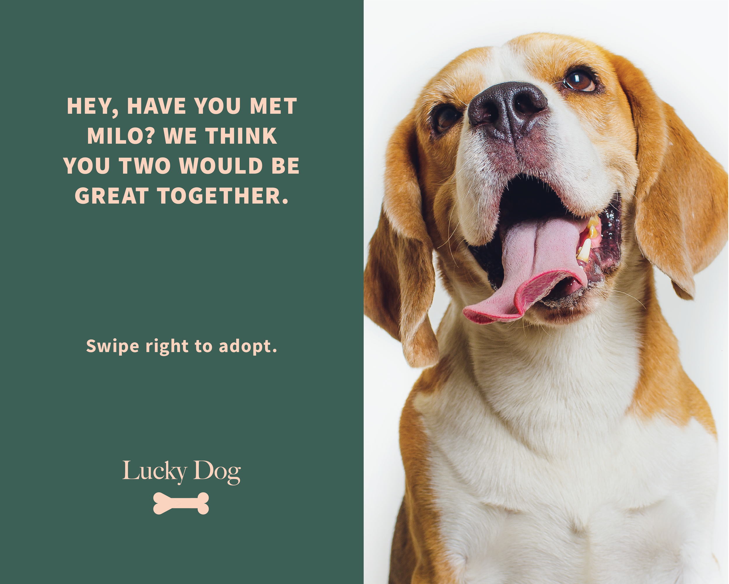 dogs_print-10.png