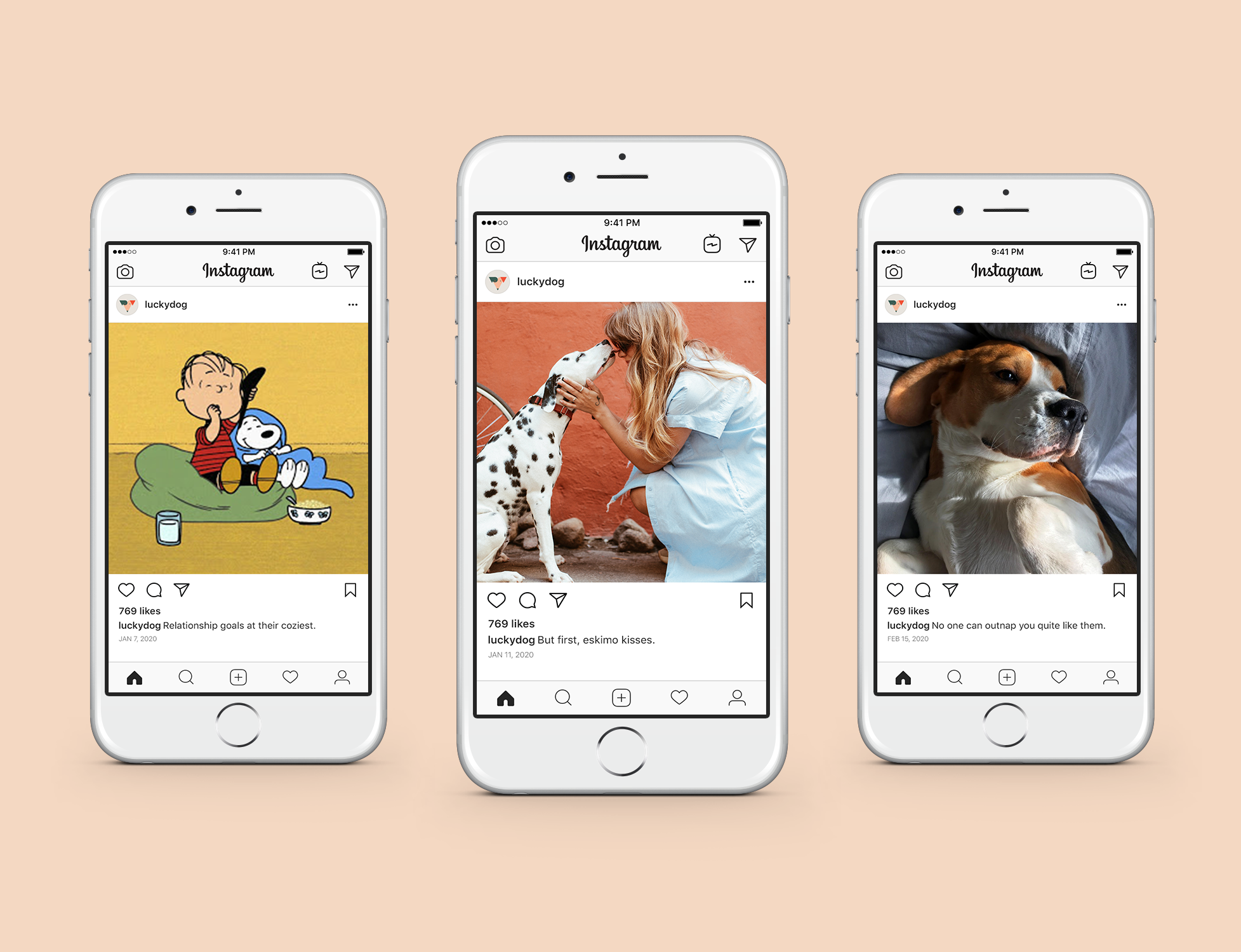 dogs_IG_website.png