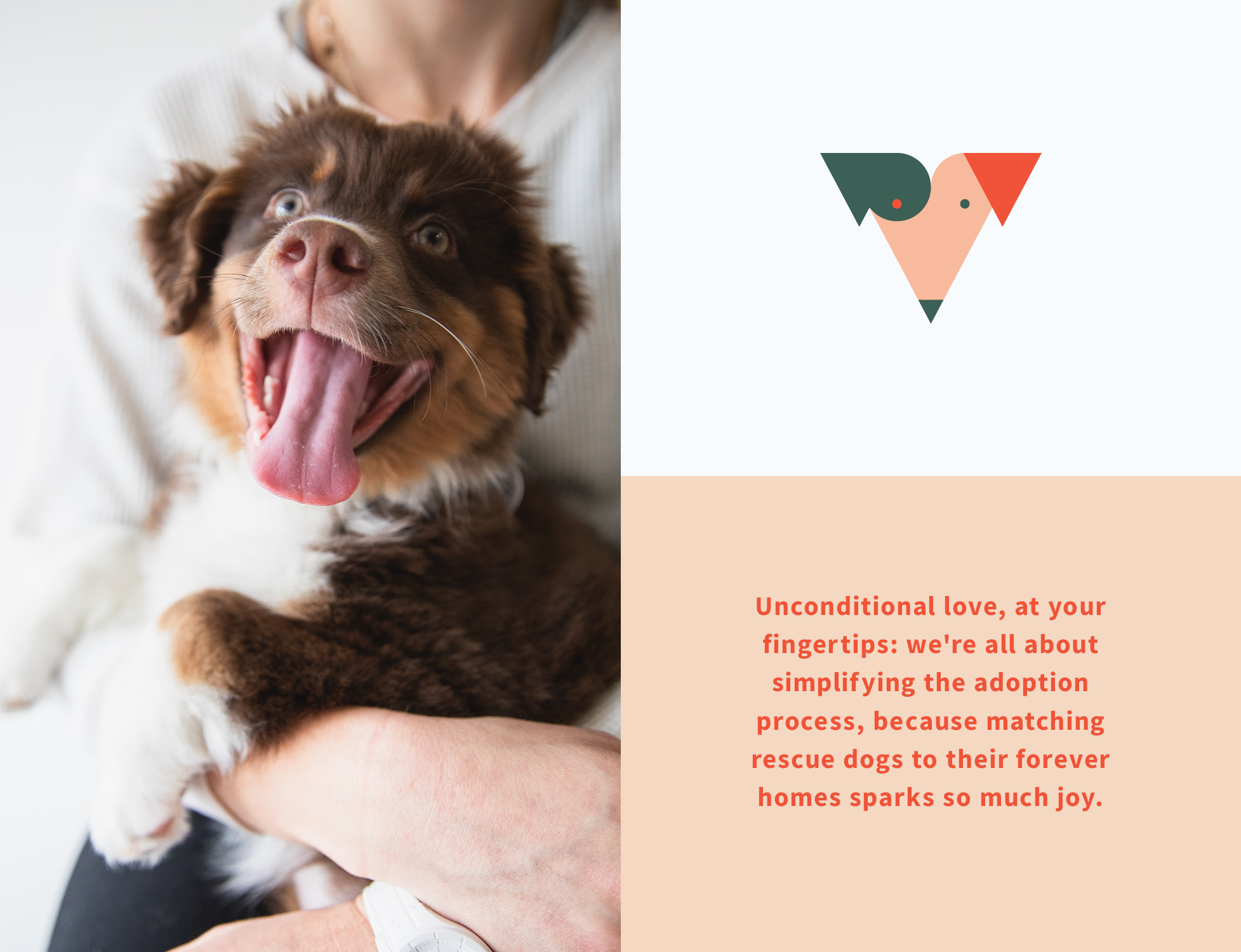dogs_photo_website.png