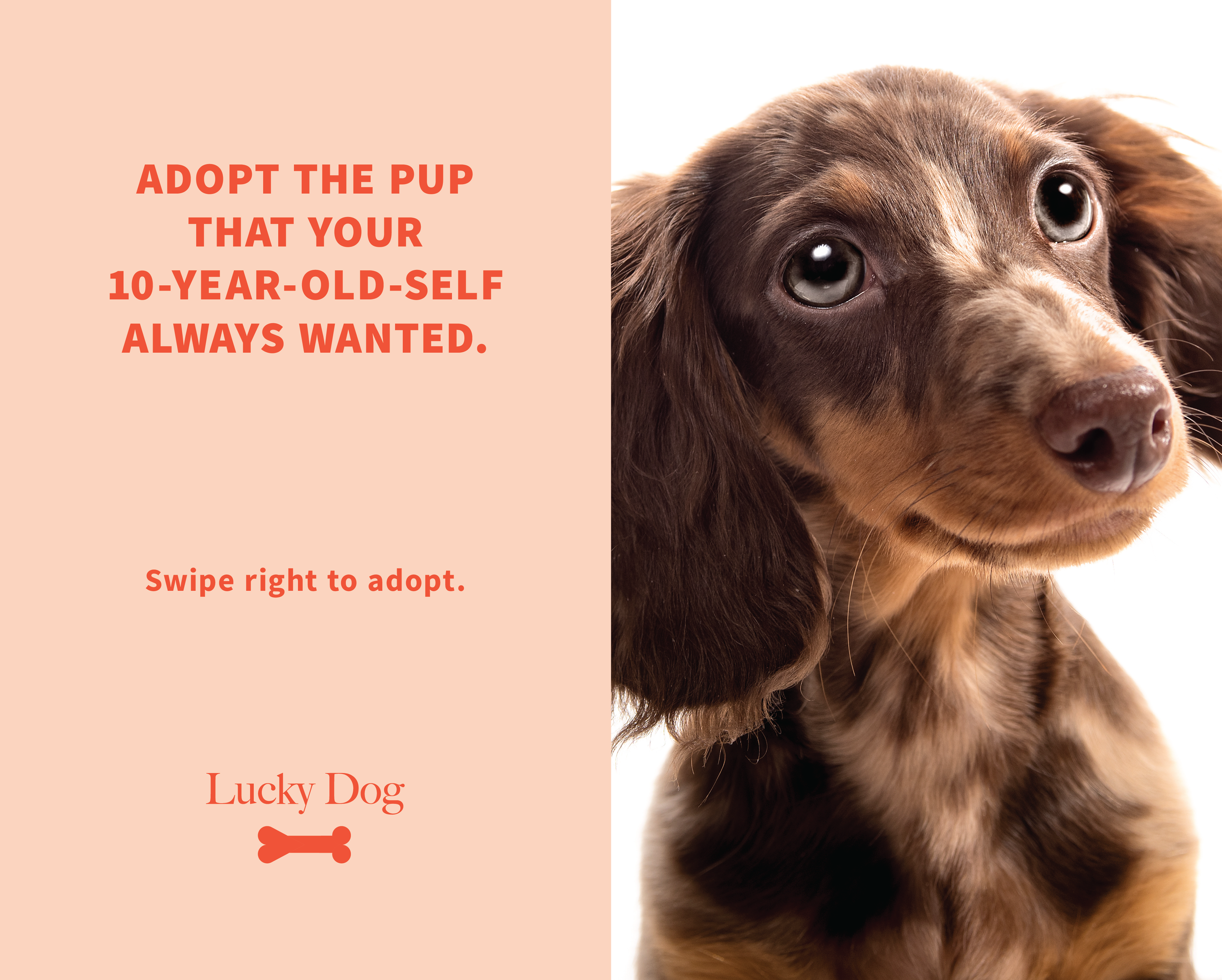 dogs_print-09.png