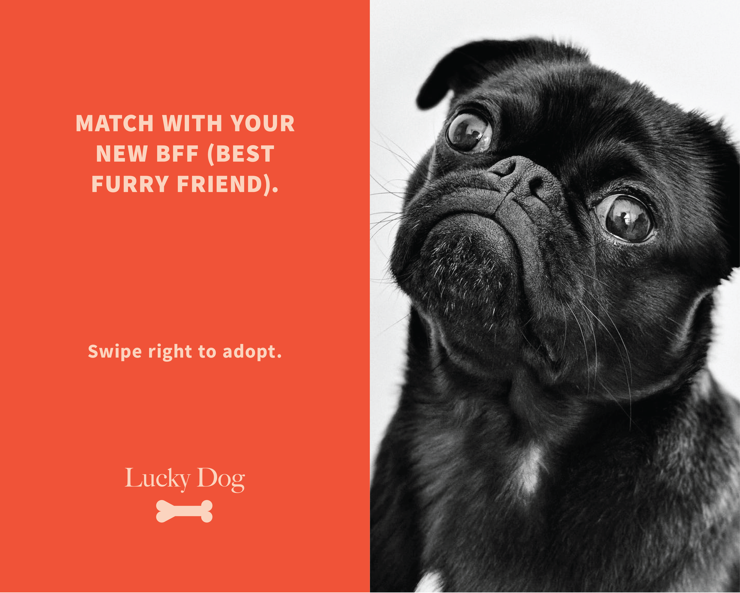 dogs_print-08.png