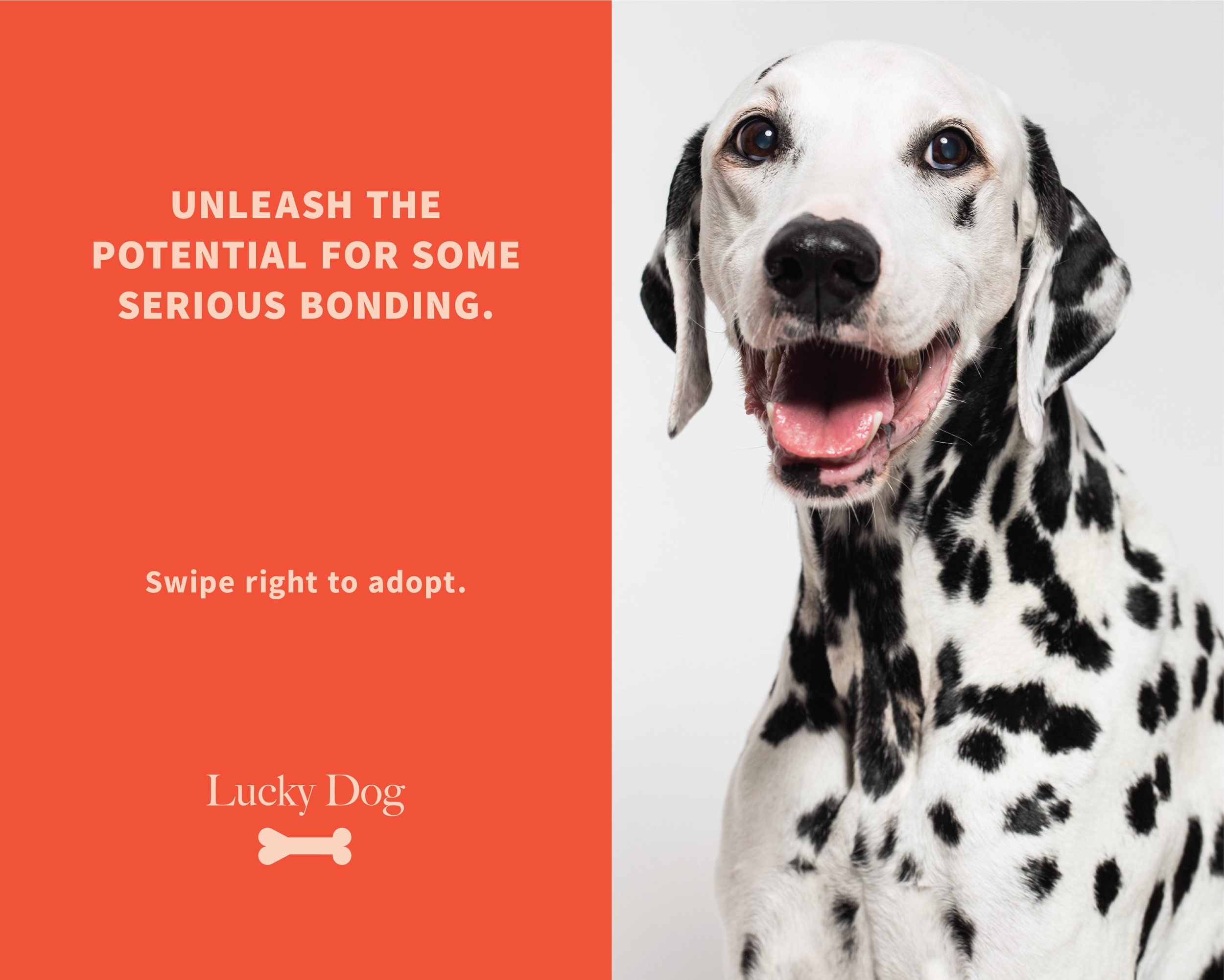 dogs_print-11.png