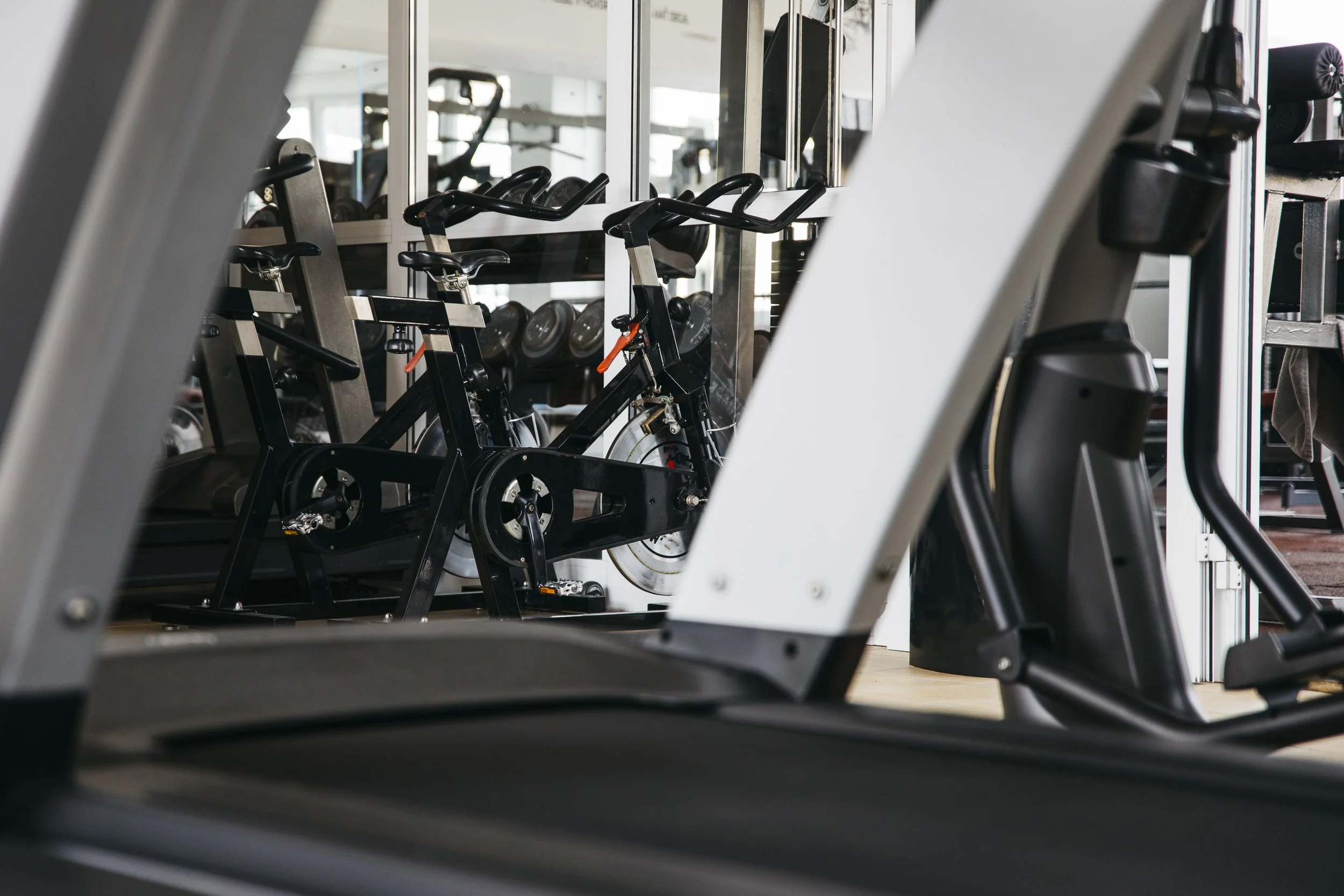 still-life-gym-equipment.jpg