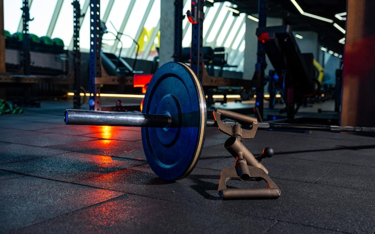 OPEN BODYBUILDING DIVISION