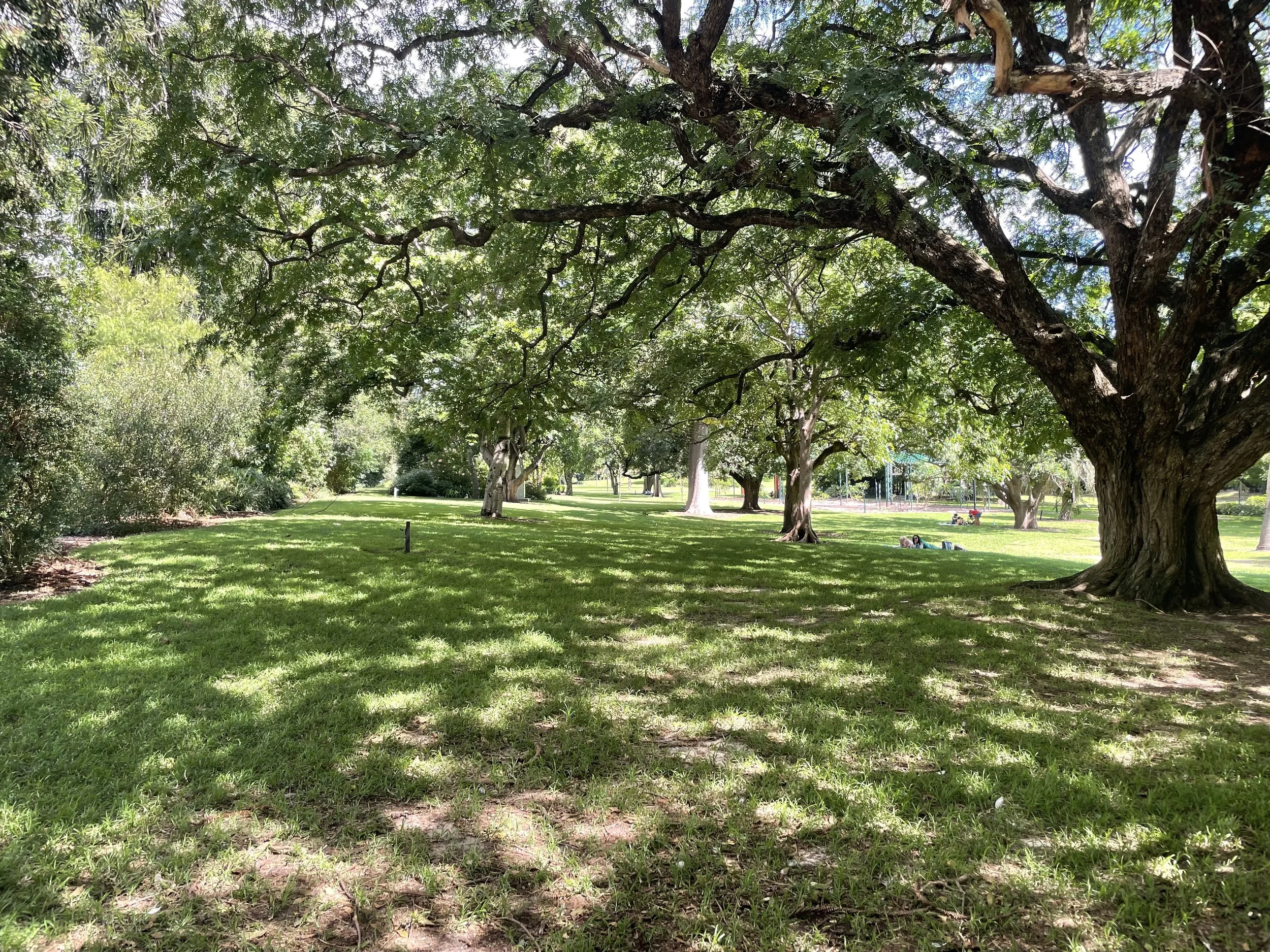 A sunny park scene with large trees casting shade over a grassy area where people are relaxing and enjoying the outdoors.