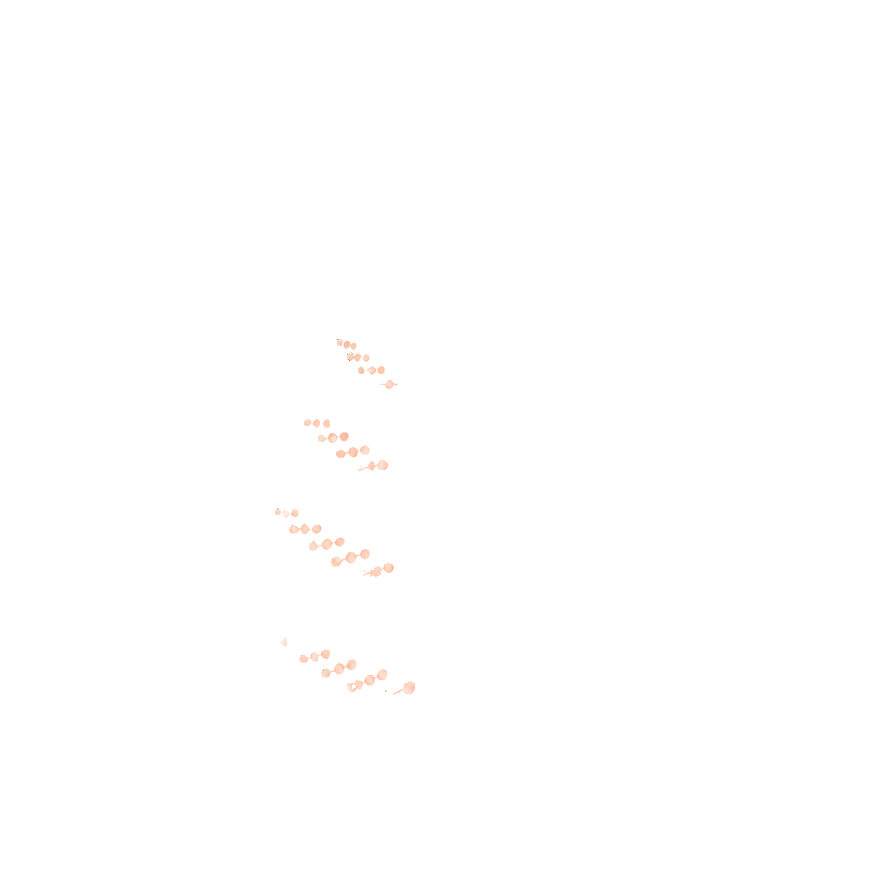 Illustration of a fern leaf with detailed white outline and pinkish spore clusters on a black background.