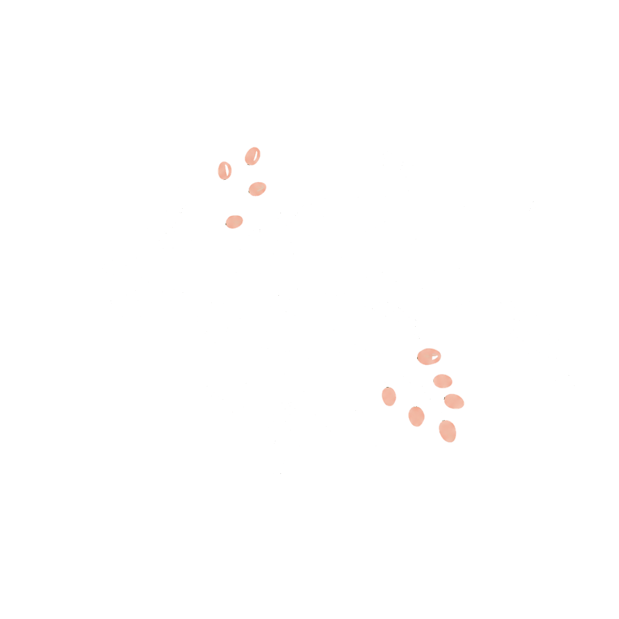 White line drawing of a leafy branch with pink berries on a black background.