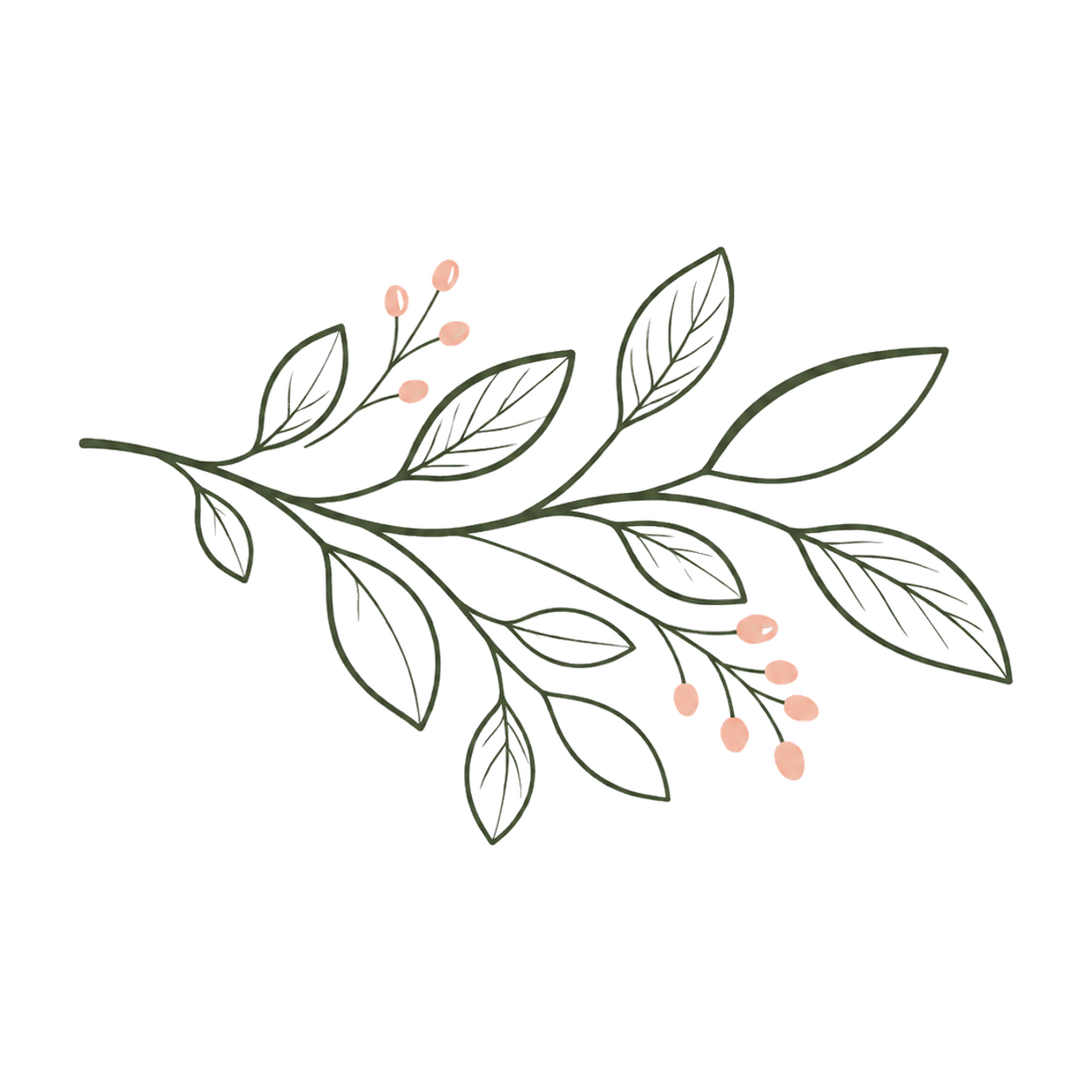 A minimalist line drawing of a botanical branch with leaves and small pink berries