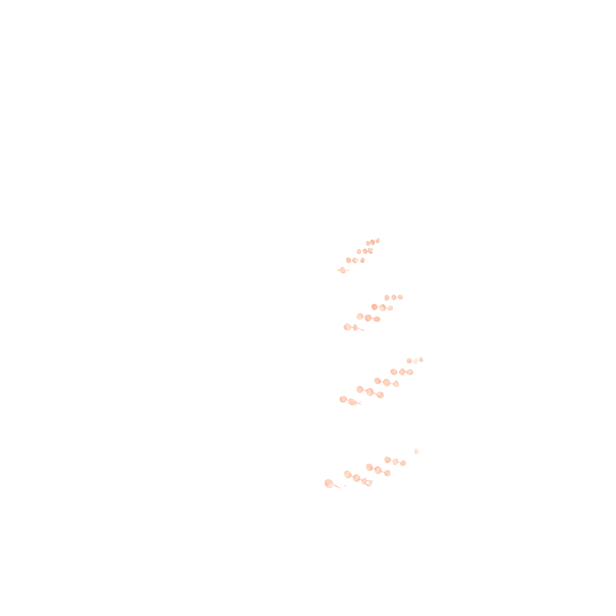 Outline of a fern leaf with pinkish reproductive structures on some leaflets against a black background.
