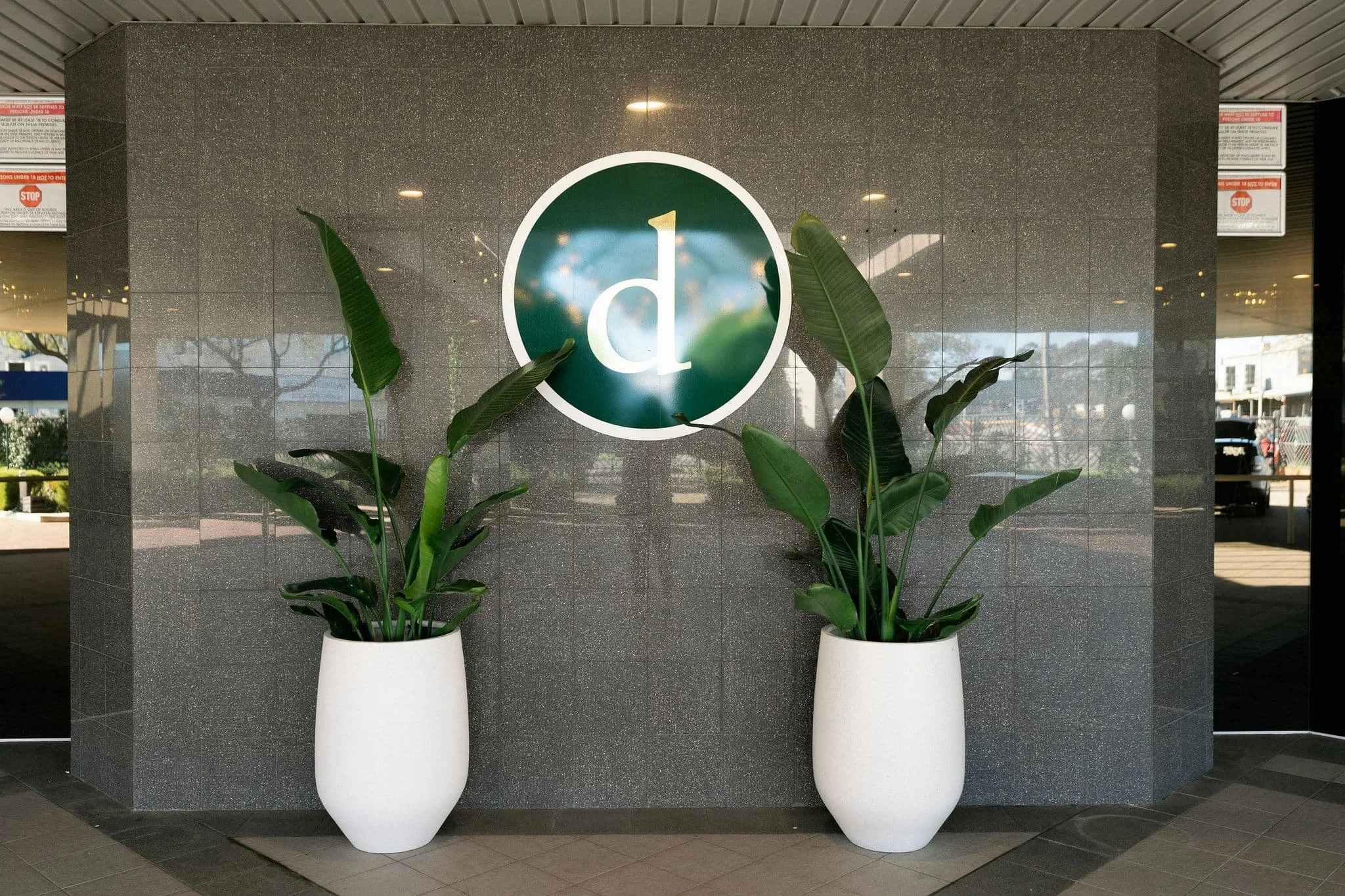 Indoor setting with a dark green circular logo with a white lowercase 'd' in the center, mounted on a gray speckled wall. In front of the wall are two large white pots with green leafy plants, symmetrically placed.