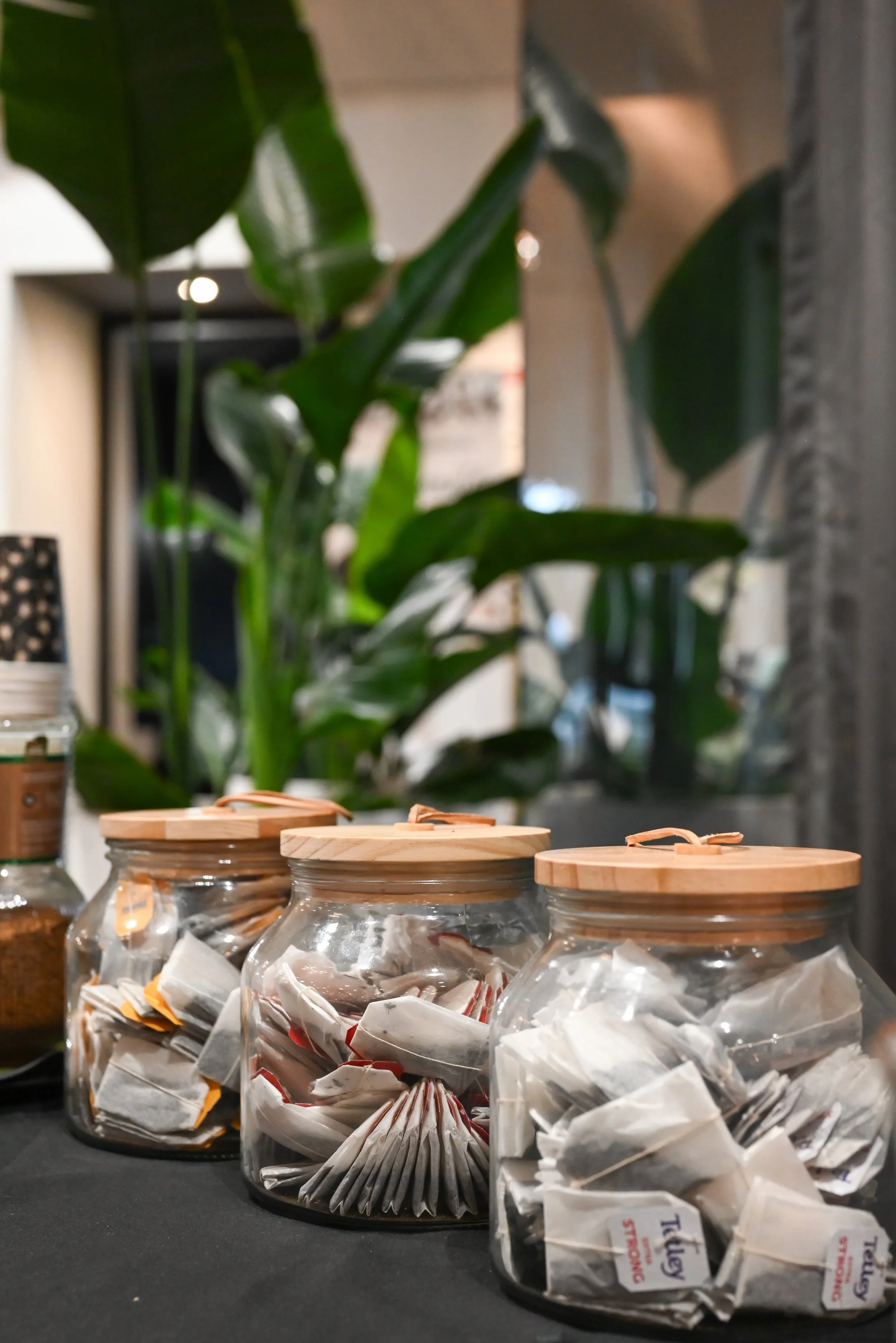 Several glass jars with wooden lids labeled with tags are displayed on a dark surface, with a background of large green leafy plants and blurred indoor setting.