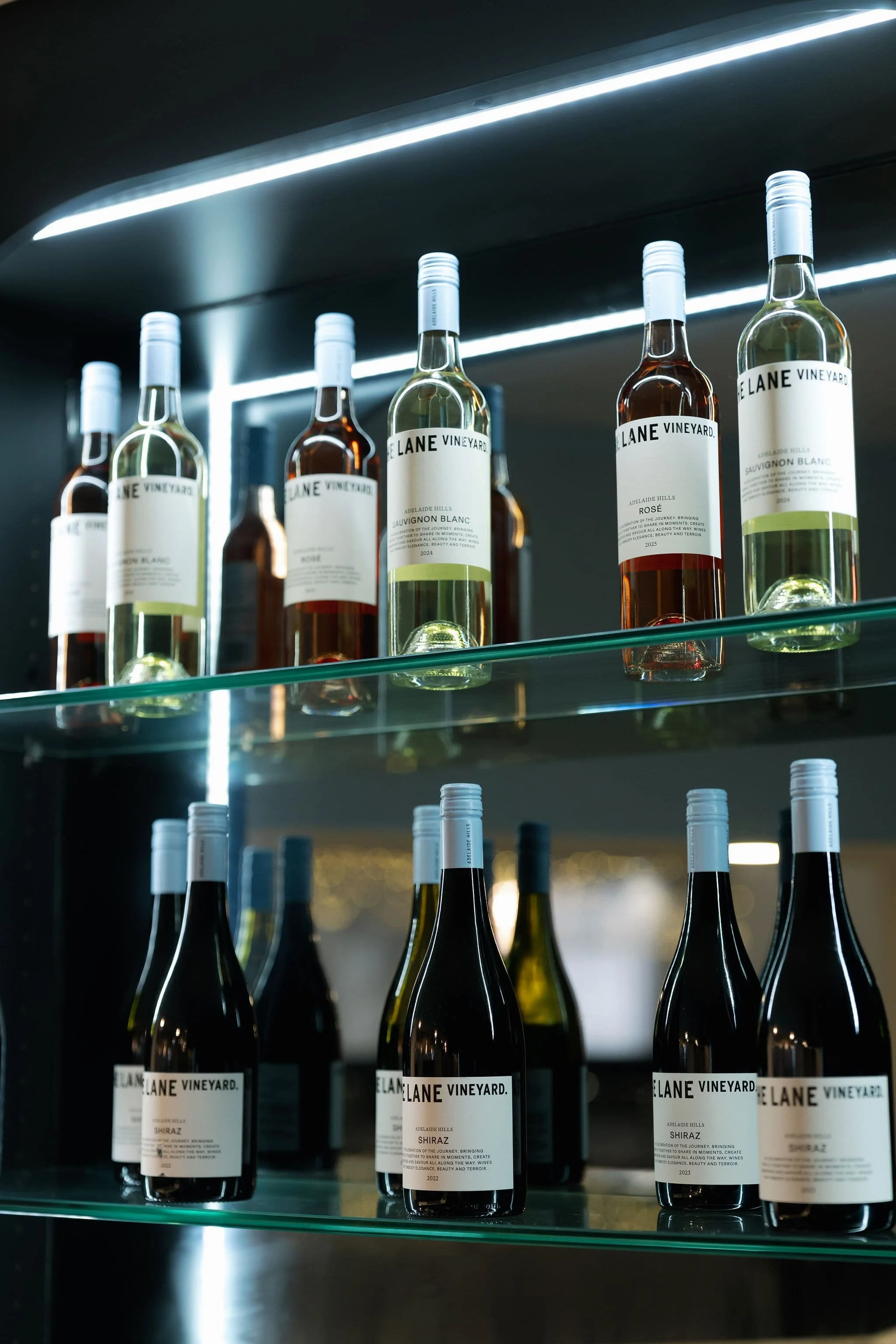 Bottles of wine on display shelf with illuminated ceiling lights above.