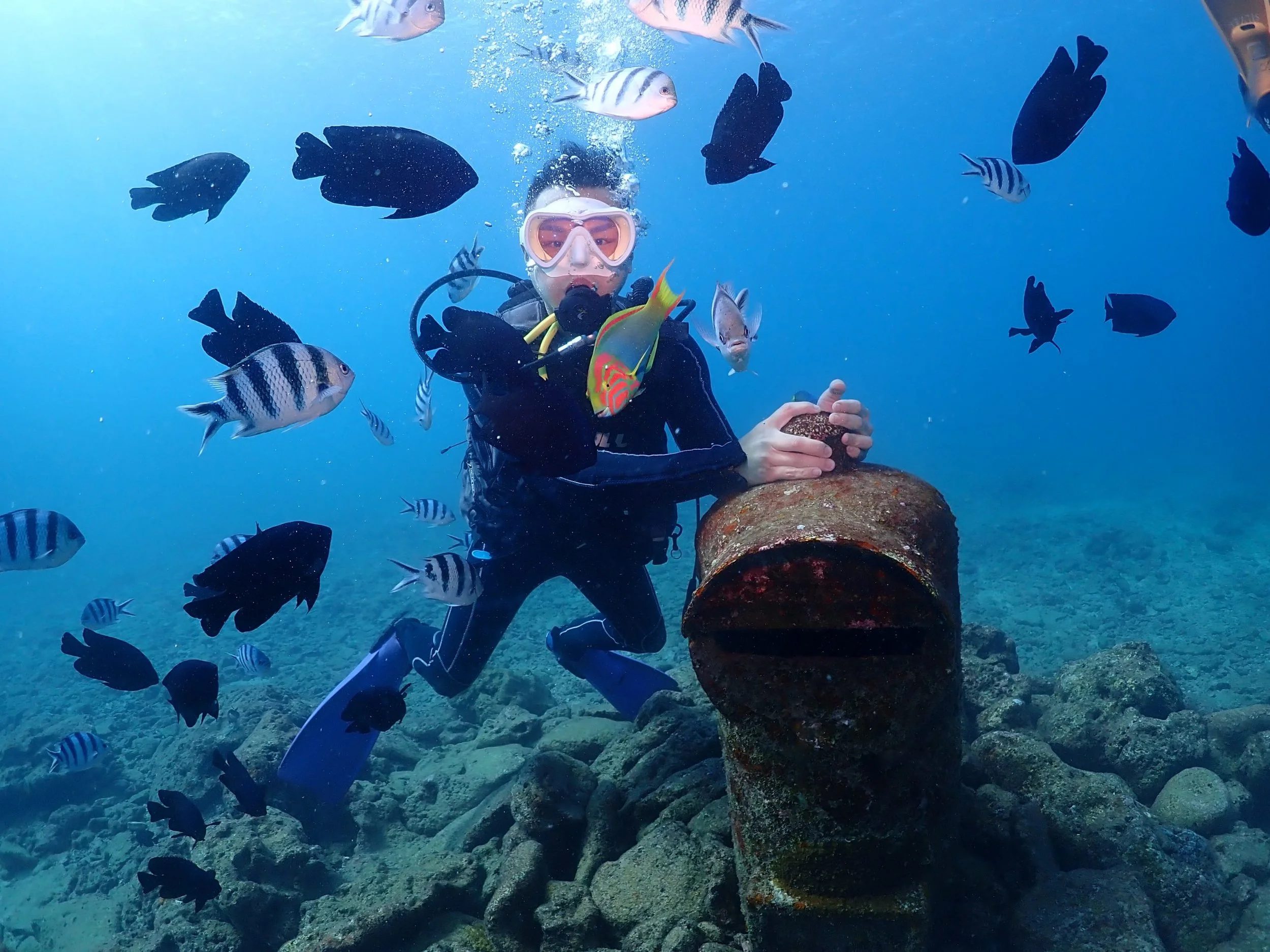 A scuba diver surrounded by various colorful fish swimming underwater near a rusted pipe on the ocean floor.