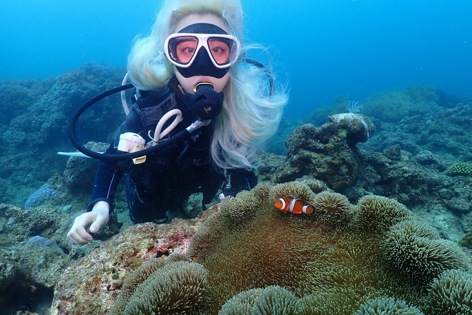 A woman scuba diving underwater with coral reef and a clownfish.