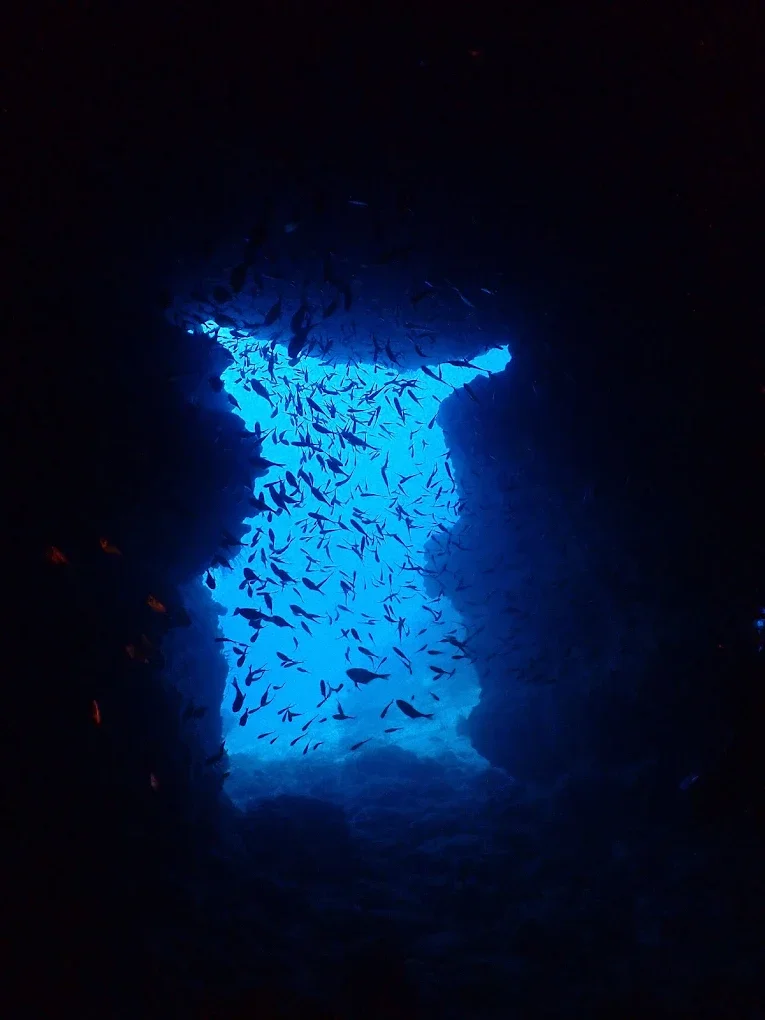 Underwater scene showing a school of fish swimming in and out of a dark cave opening with bright blue water beyond.