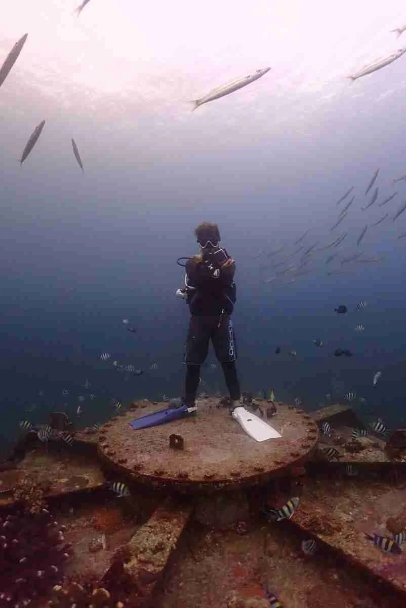 A scuba diver standing on an underwater platform surrounded by fish, with larger fish swimming above in the open water.