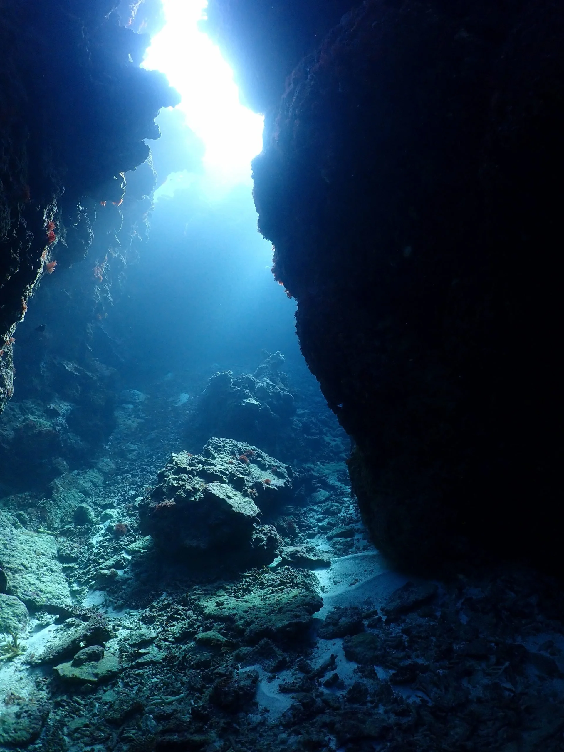Underwater cave with rocky walls and coral, sunlight shining through the opening at the top.