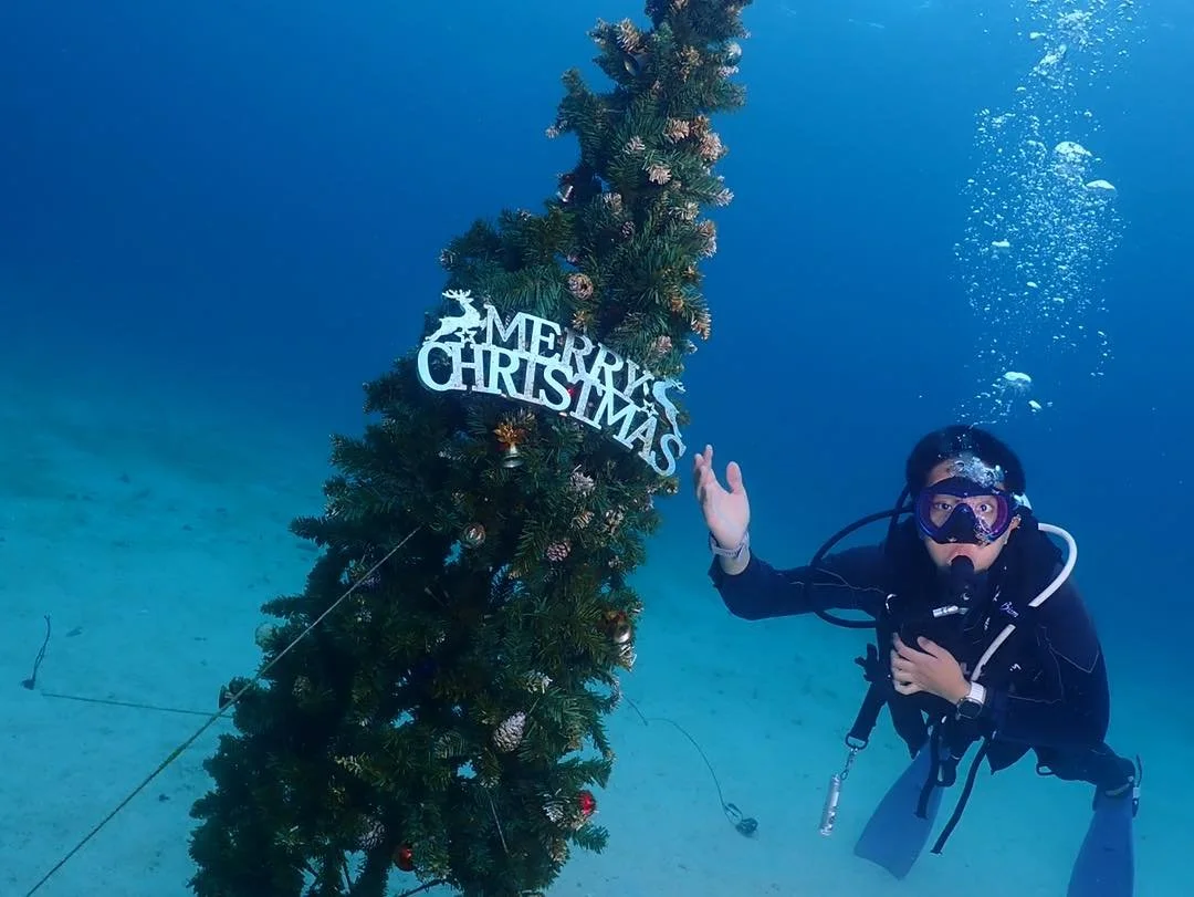 A scuba diver underwater next to a Christmas tree with a sign that says 'Merry Christmas'.